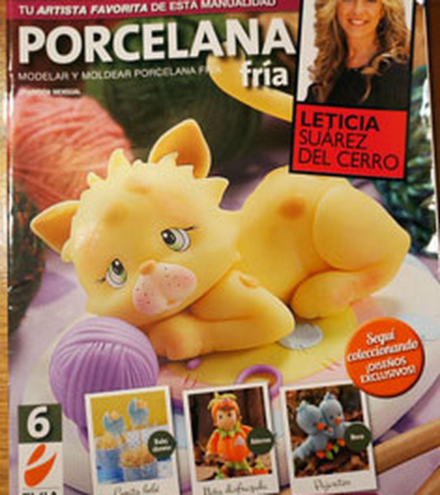 Revista - Ed.Evia - Arg - 2013 - Leticia - nº 06