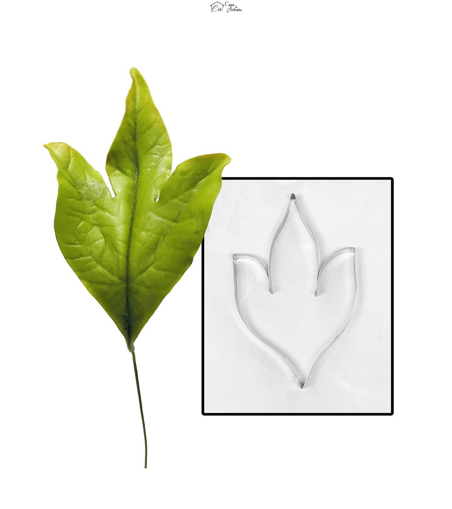 Cortador Aço - Flor - Peonia - Folha