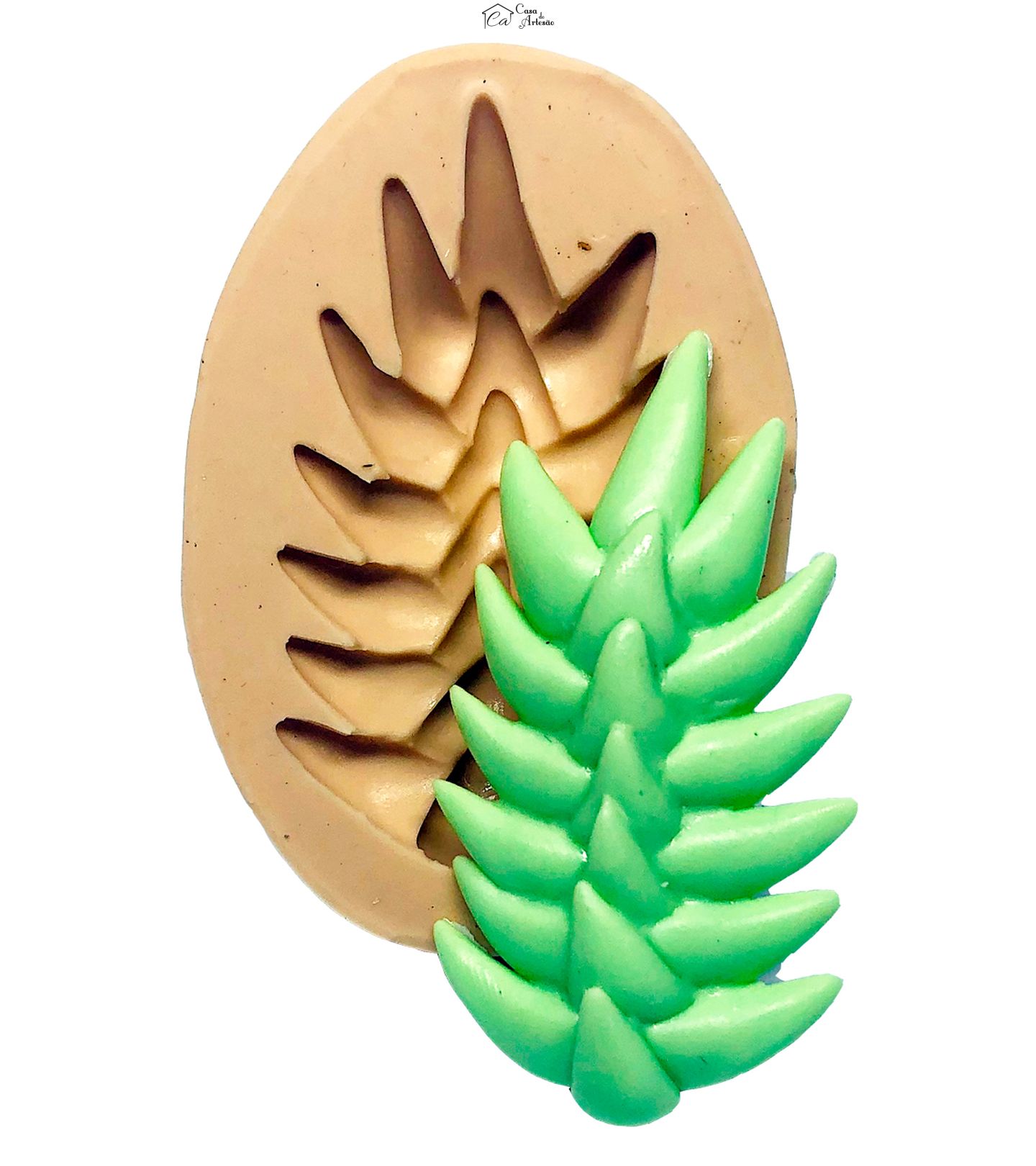 Molde de silicone - Suculenta - Rabo de Burro - Media - P738