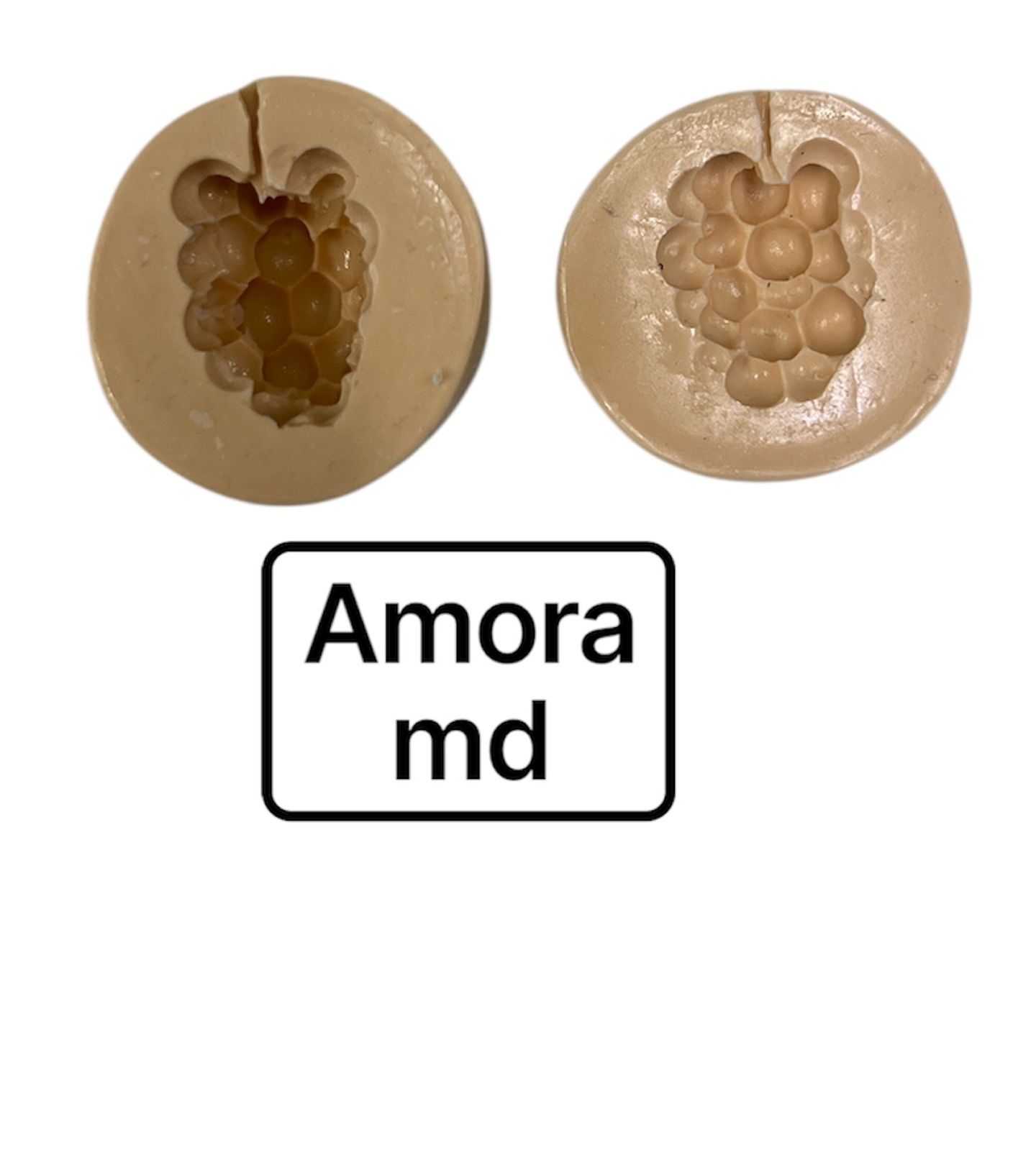 Fruta - Amora - Media - PF02