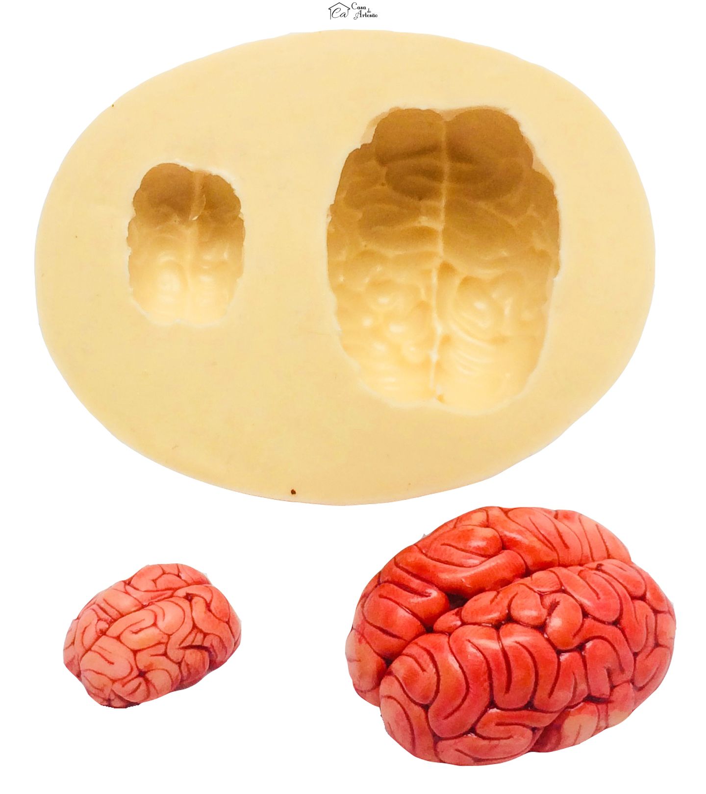 Molde de silicone - Cerebro - 02 Tamanhos - P234