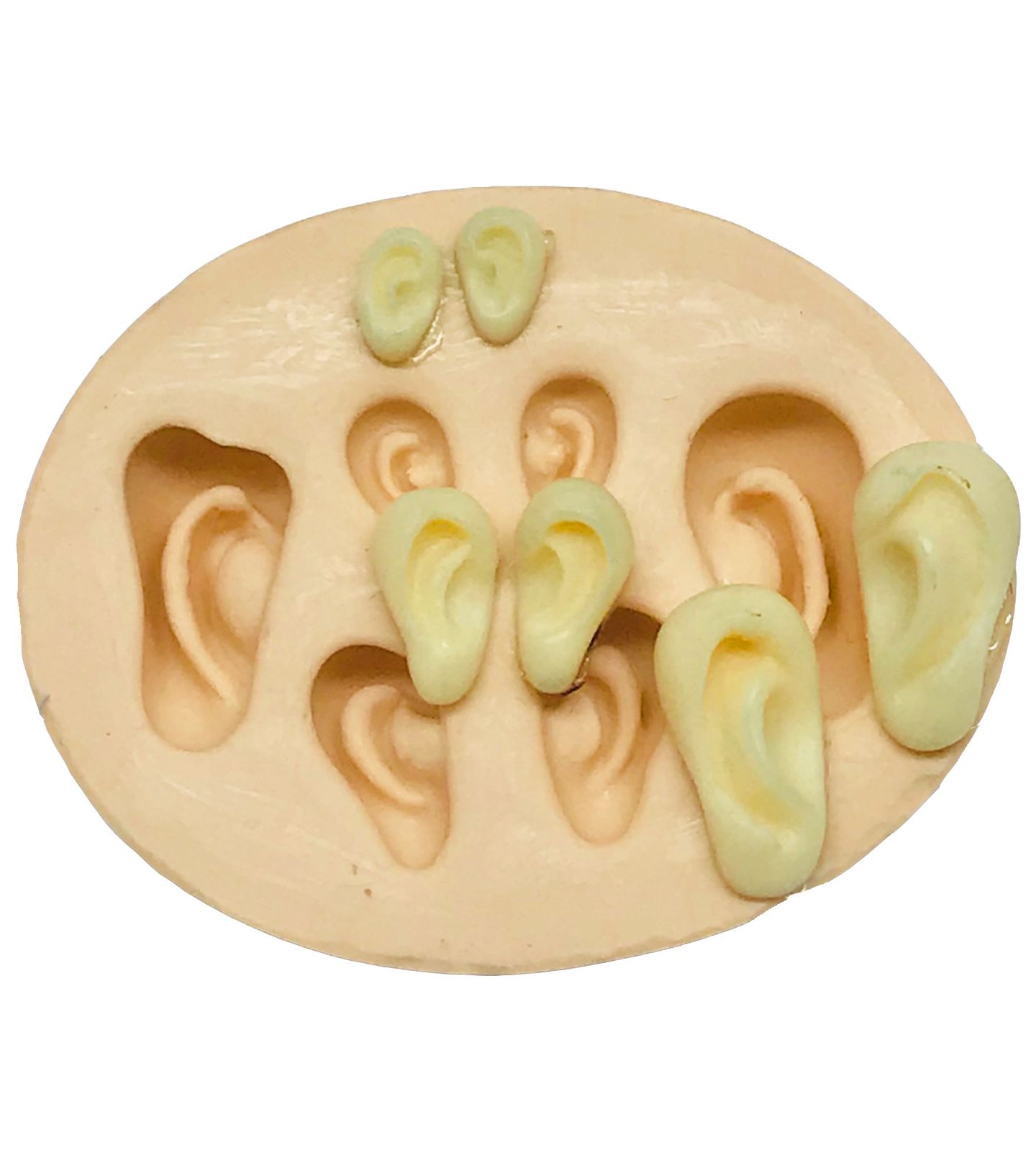 Orelhas - Mod. 01 - 3 Pares