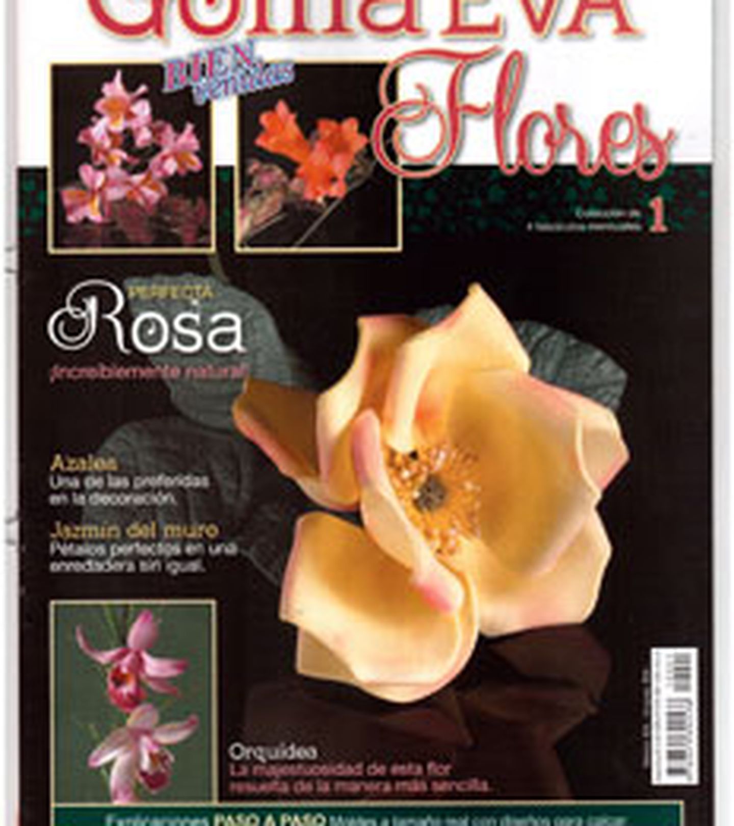 Revista - Ed.Bienvenidas - Arg - 2012 - Goma Eva - nº 01
