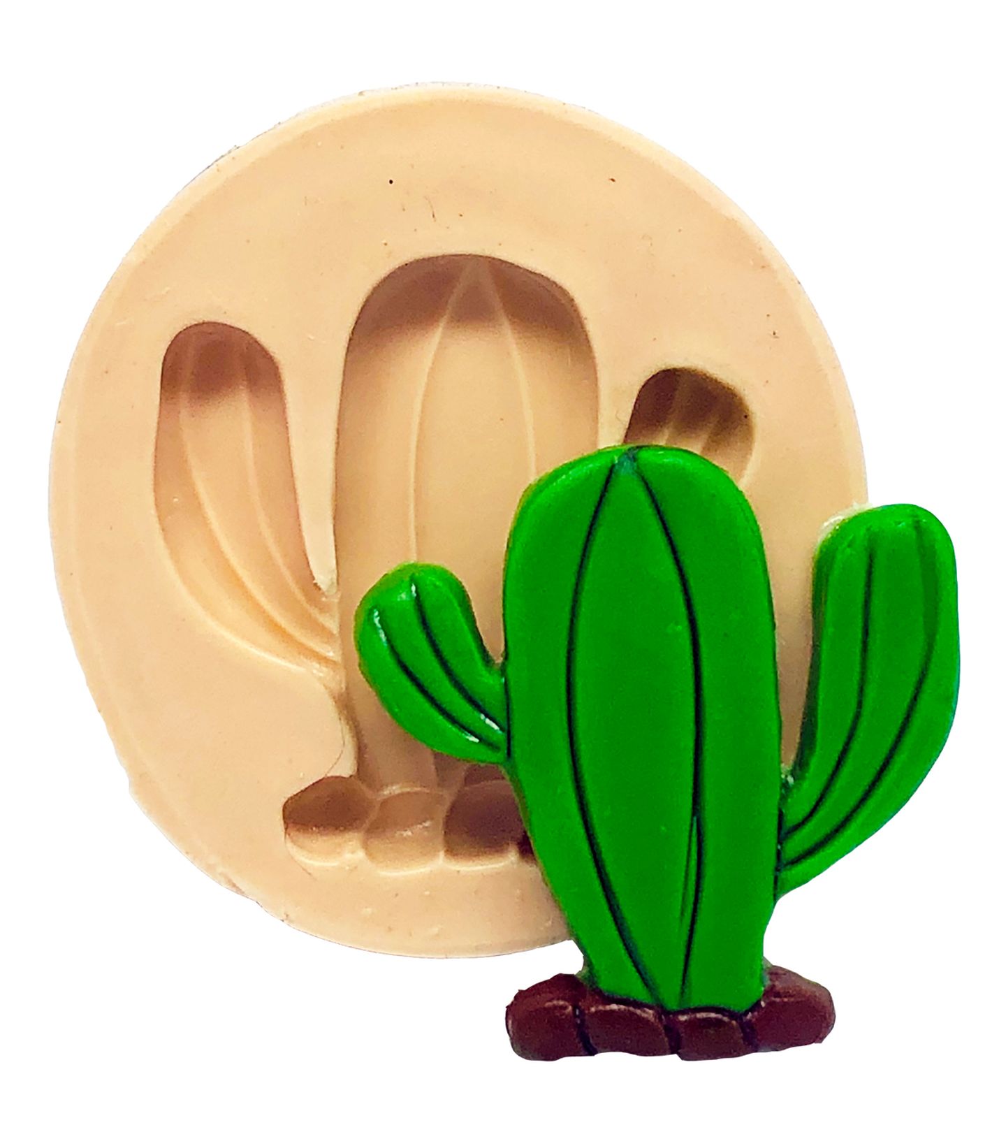 Cactus III - Pequeno - P763