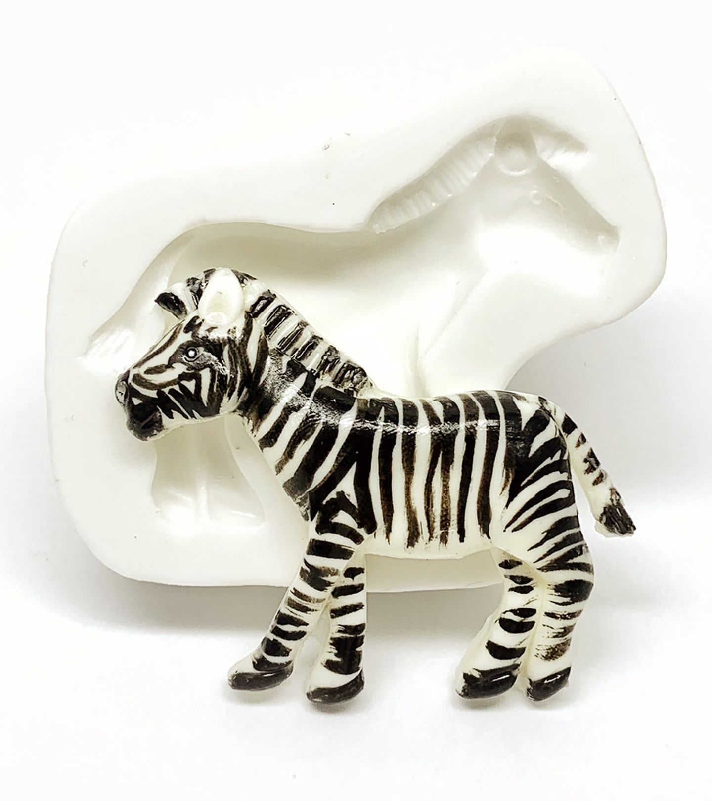 Zebra - Media - P1175
