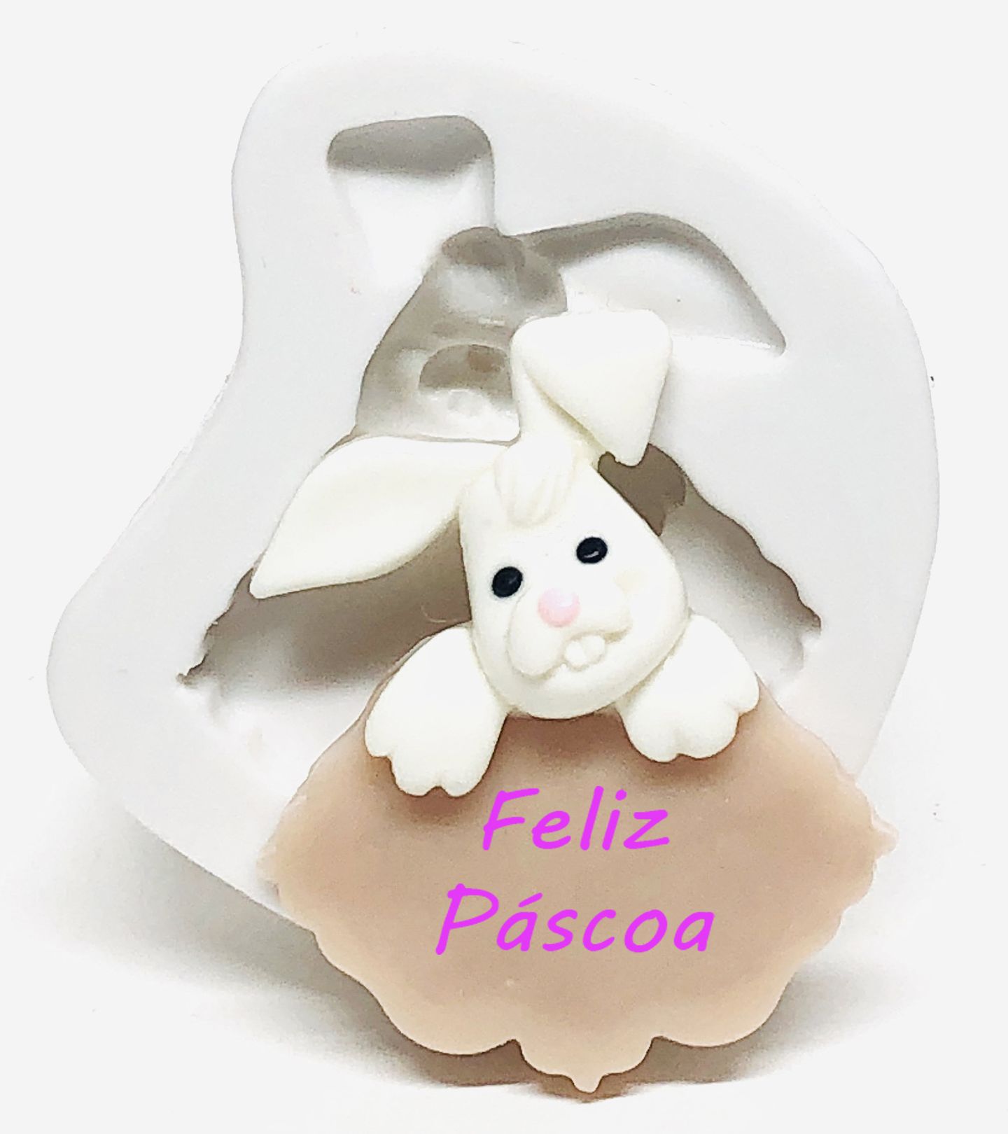 Coelho - Na Placa - Pequeno - P1074