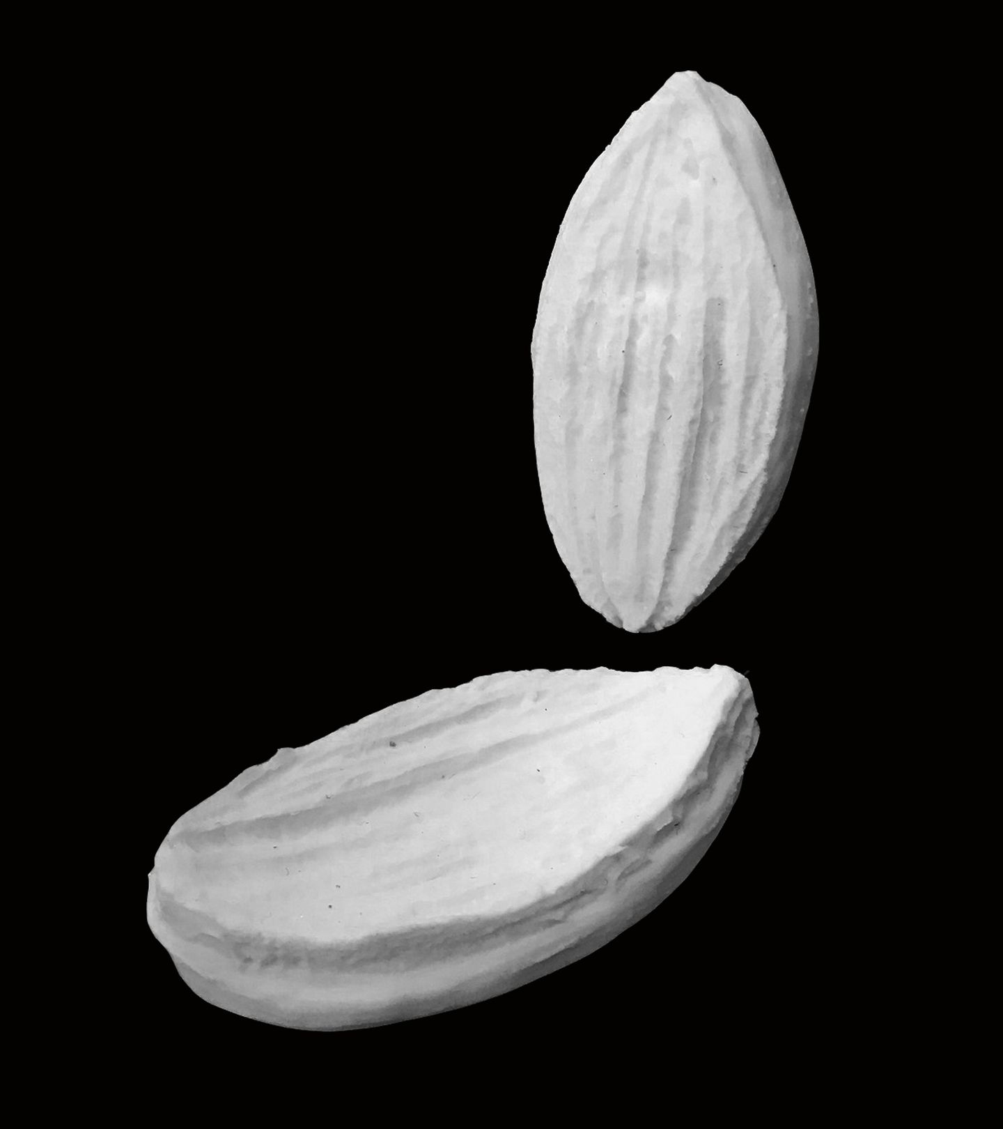 Texturizador - Pétala Girassol - Gérbera - PL002