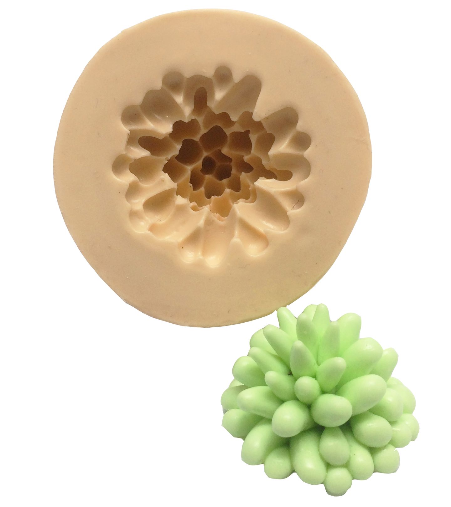 Molde de silicone - Suculenta - Grande - Mod.01