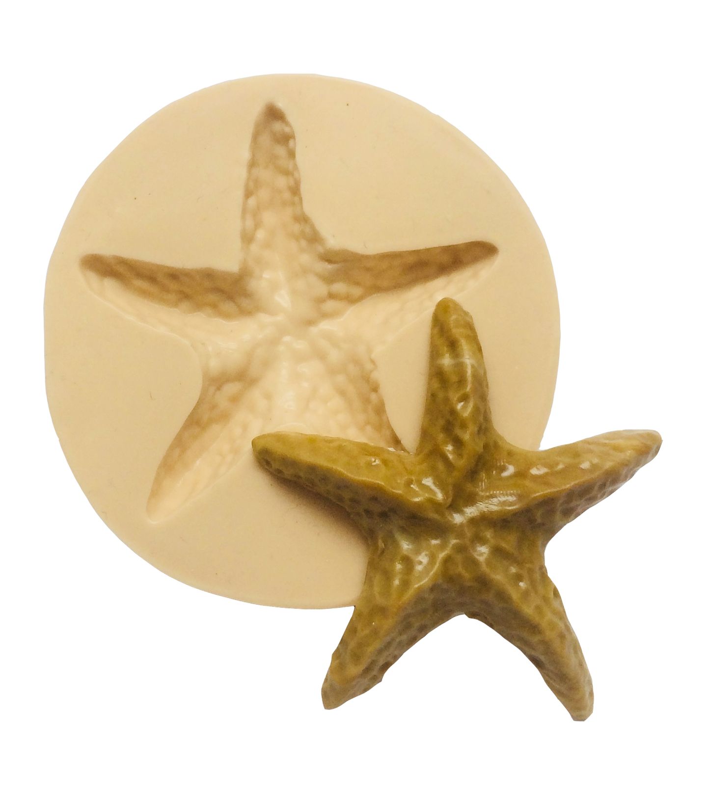 Estrela do Mar - Media - P361