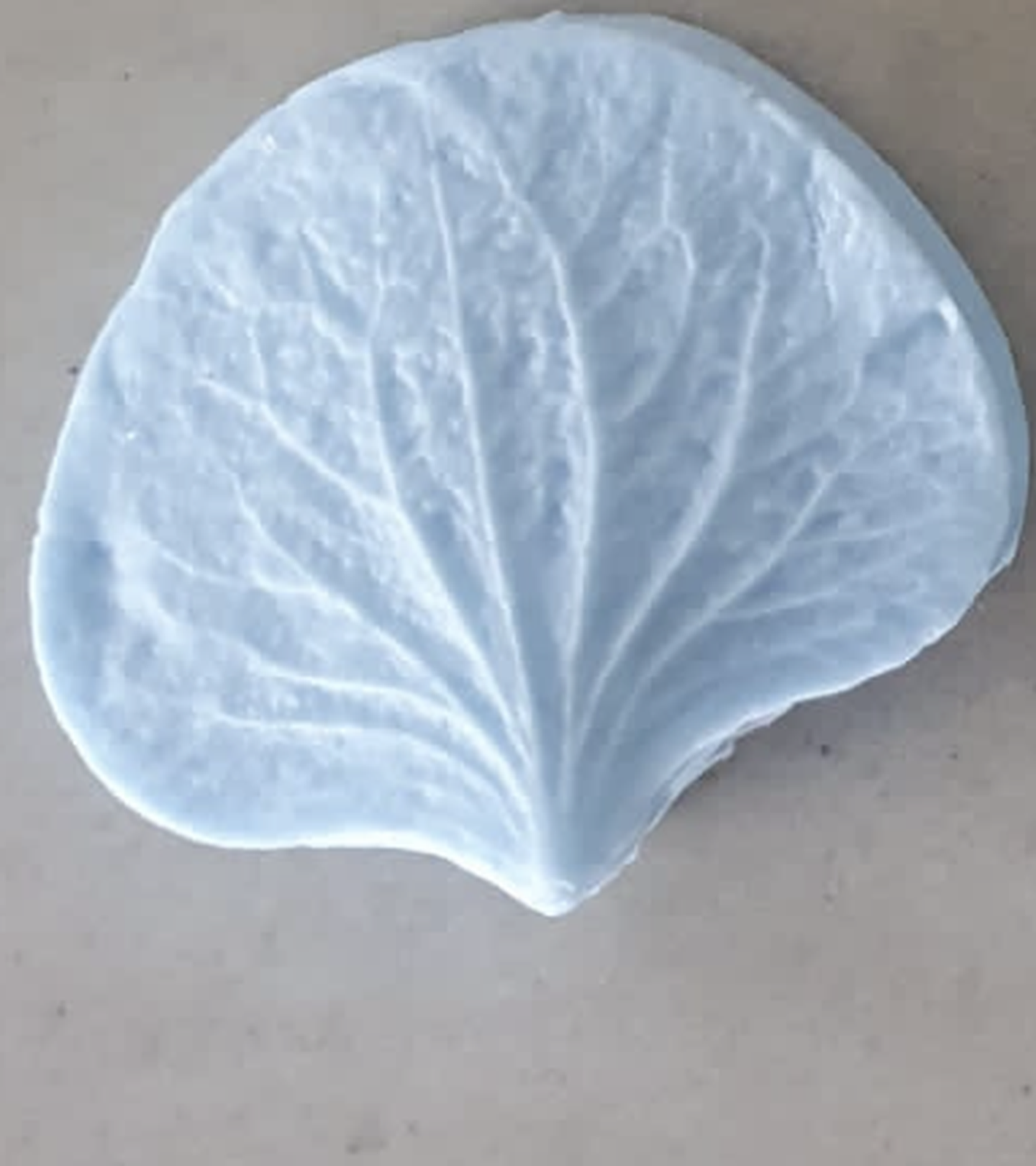 Texturizador - Hortensia