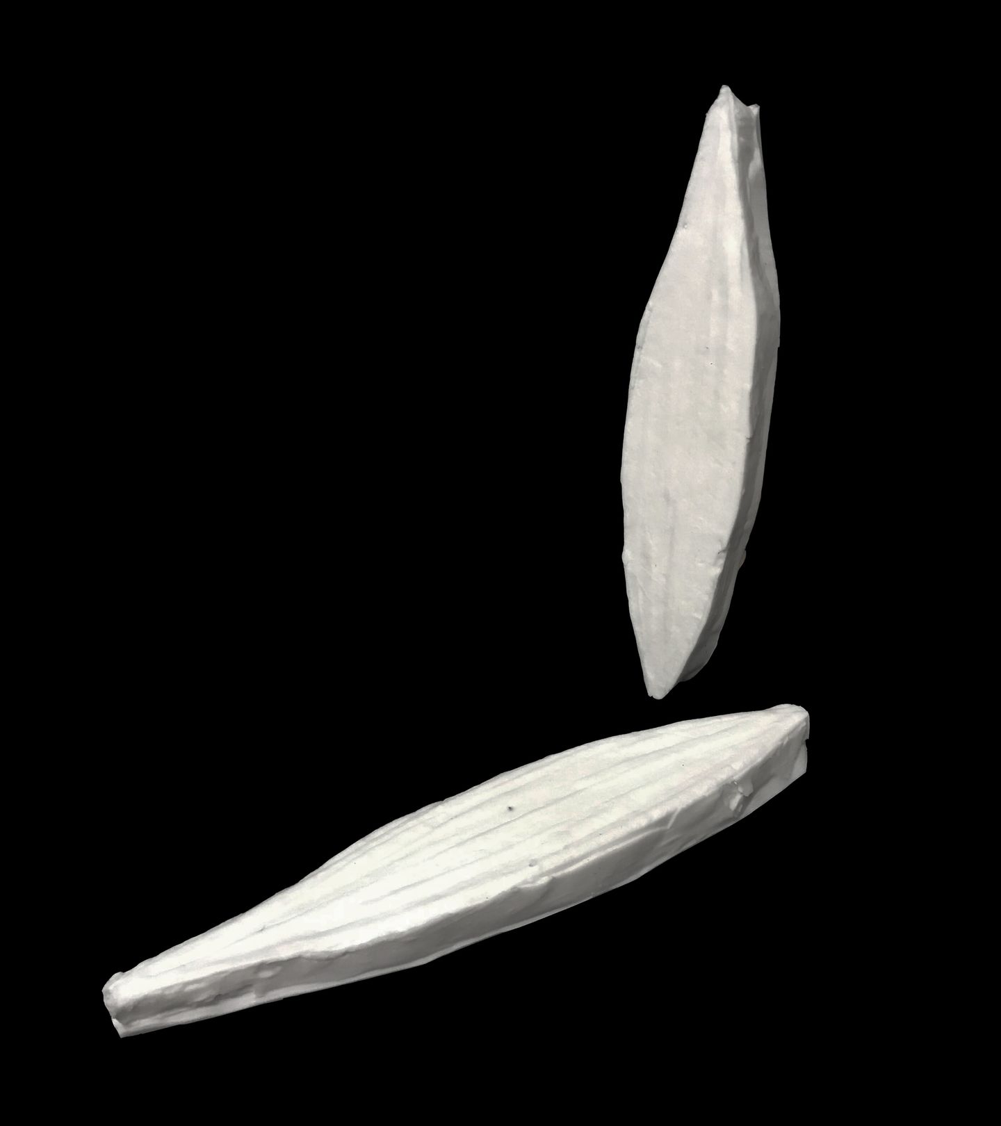 Texturizador - Gerbera - PL006