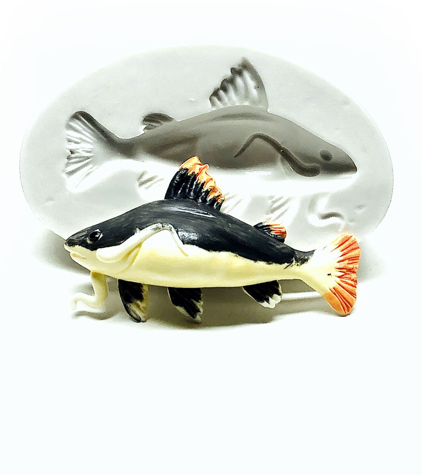 Peixe - Pirarara - Medio - P990