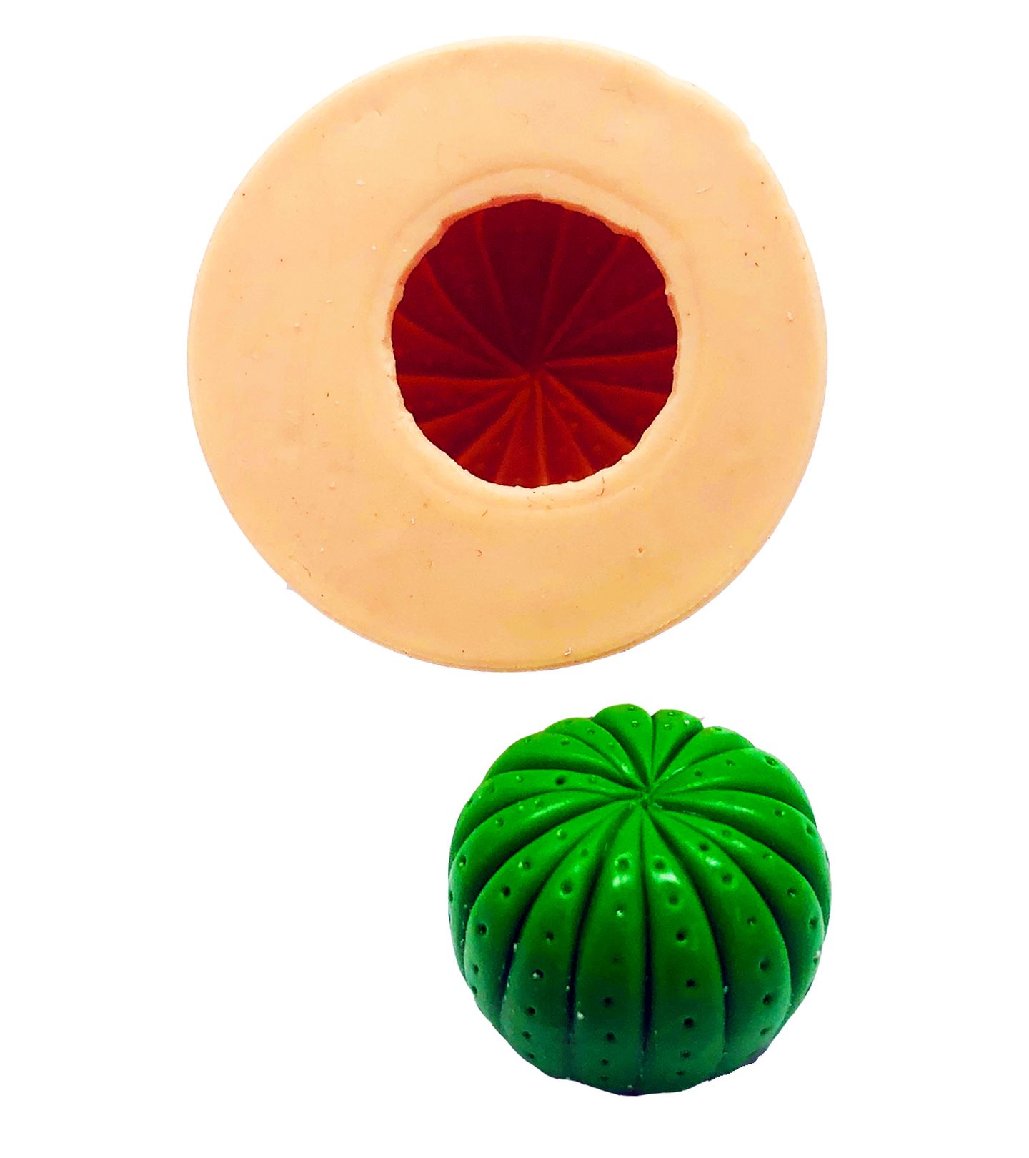 Cactus IV - Medio - P856