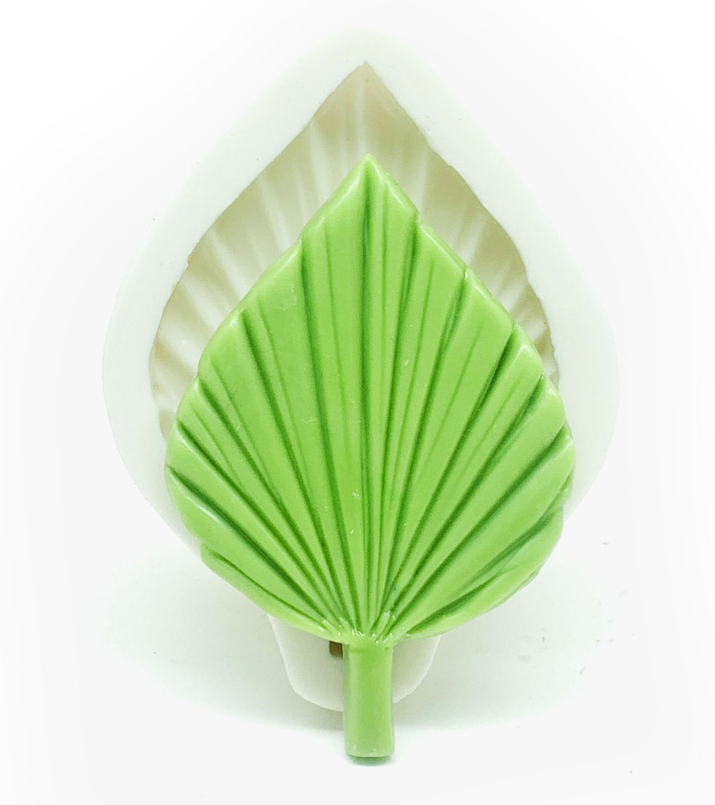 Arvore - Folha Palmeira - Media - P1140