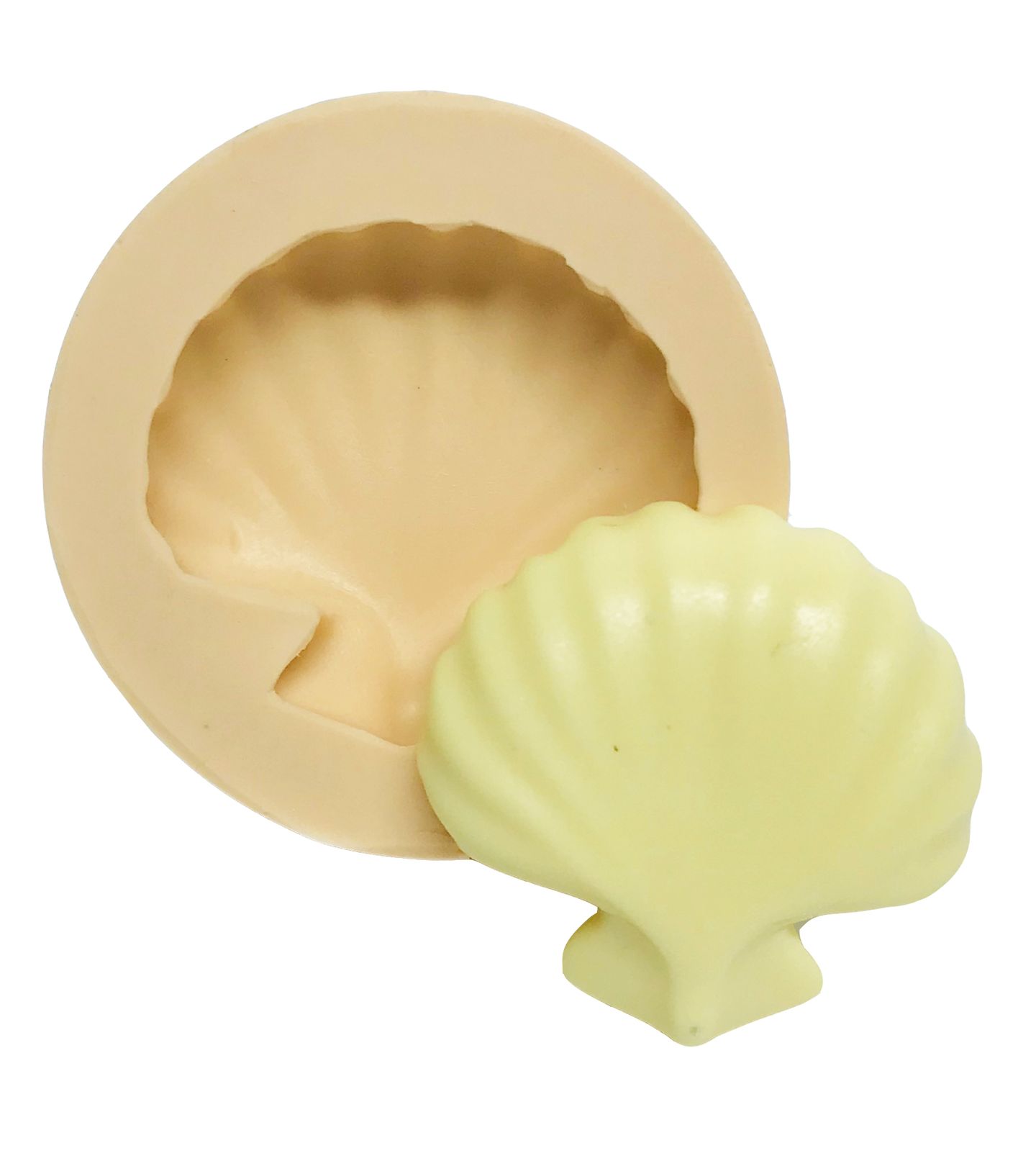 Concha - Pequena - P560