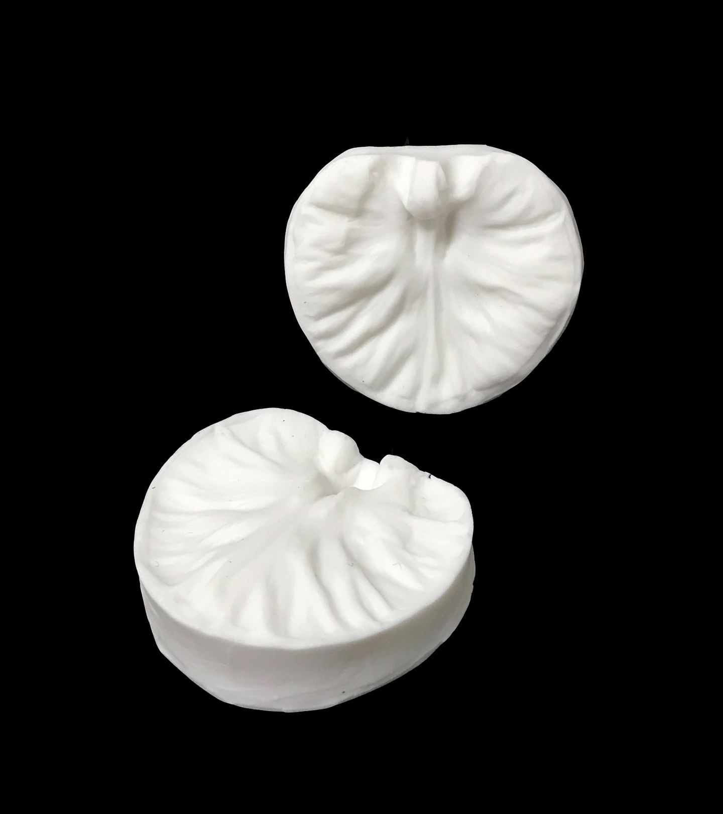 Texturizador - Pétala de ervilha - PL001