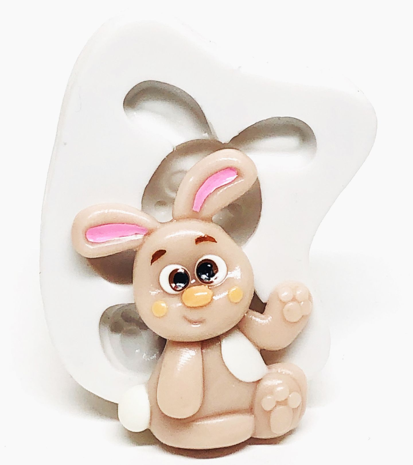 Coelho - Medio - P1075