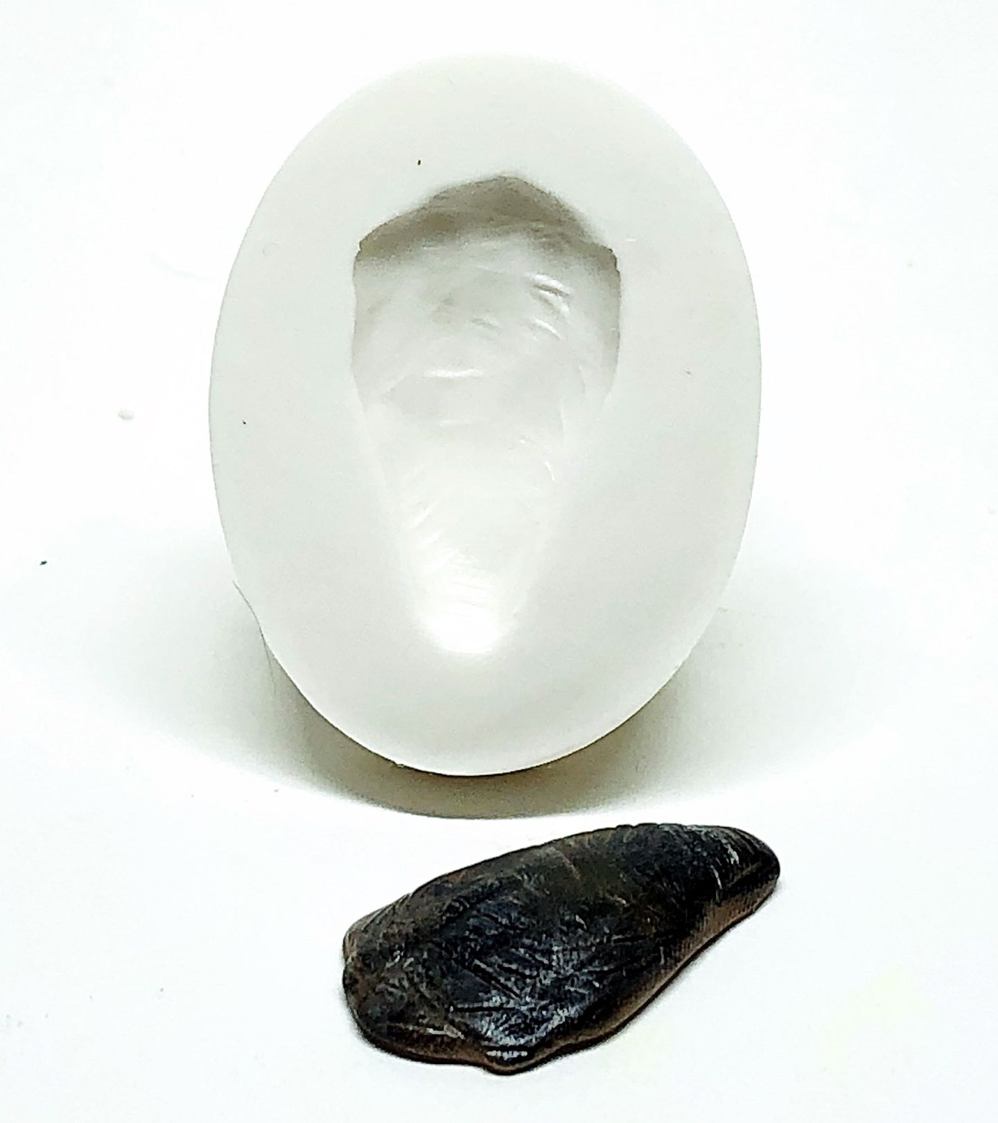 Ostra - Pequena - P952