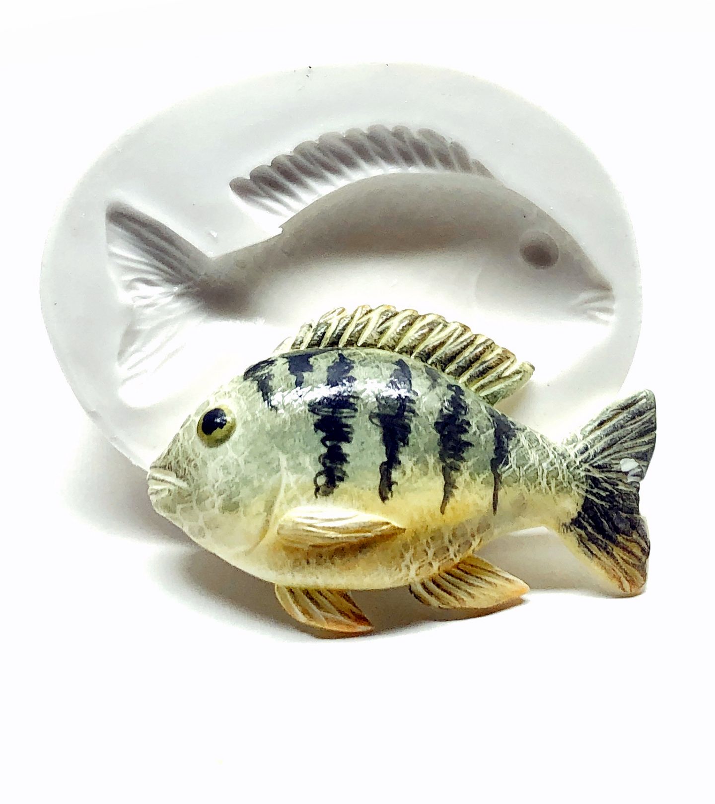 Peixe - Tilapia - Media - P1000