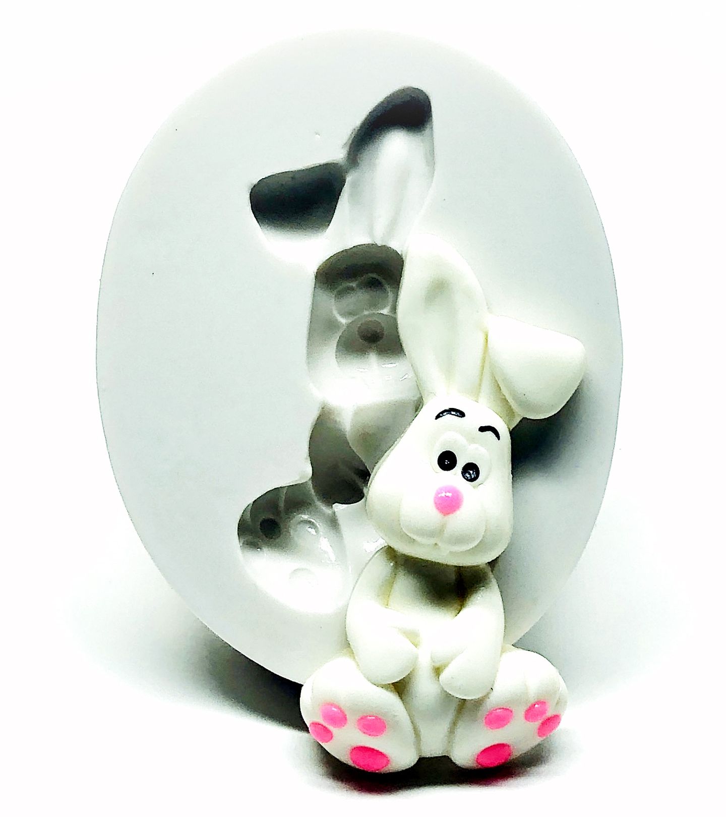 Coelho - Grande - P1030