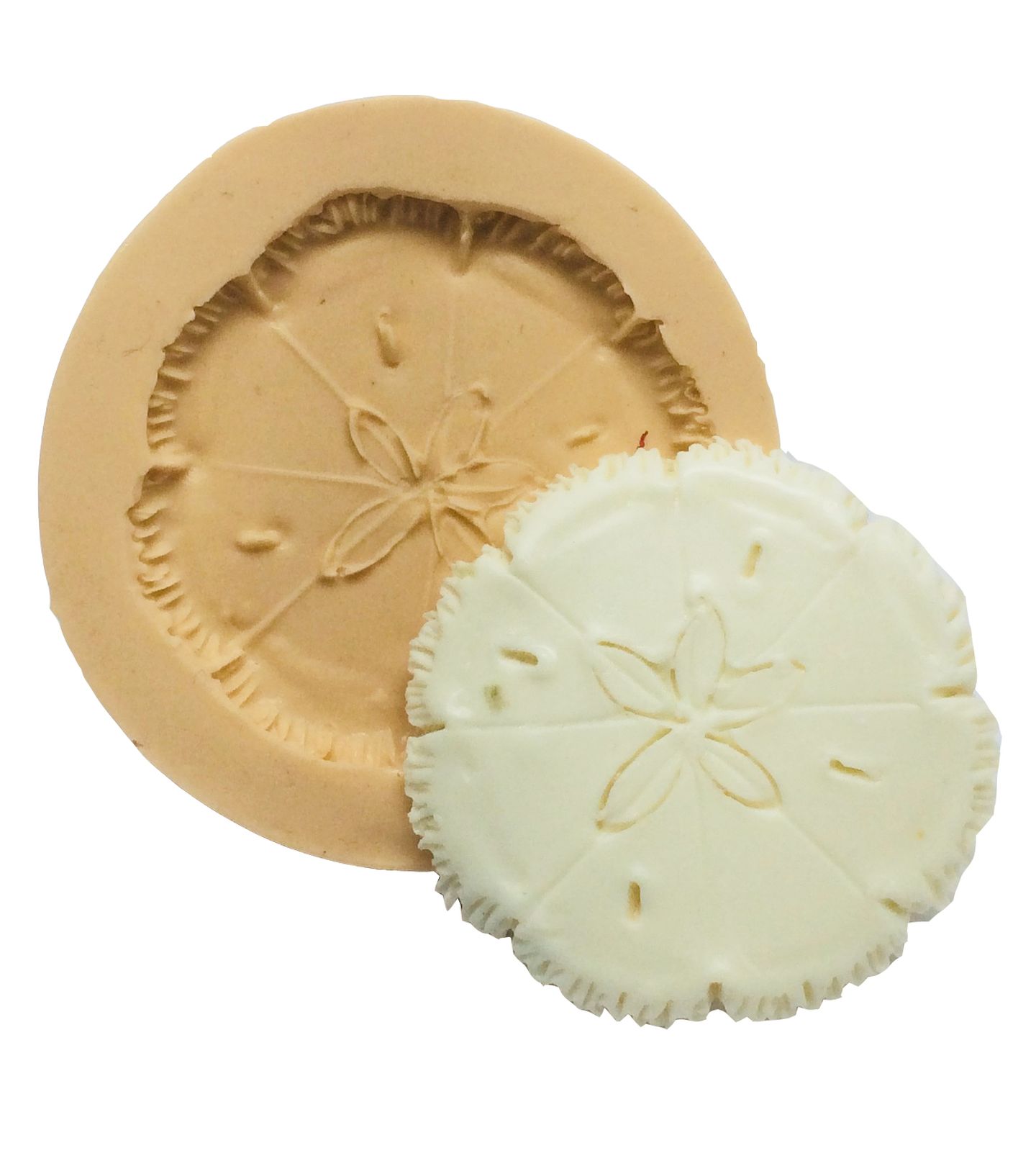 Bolacha do Mar - Media - P358