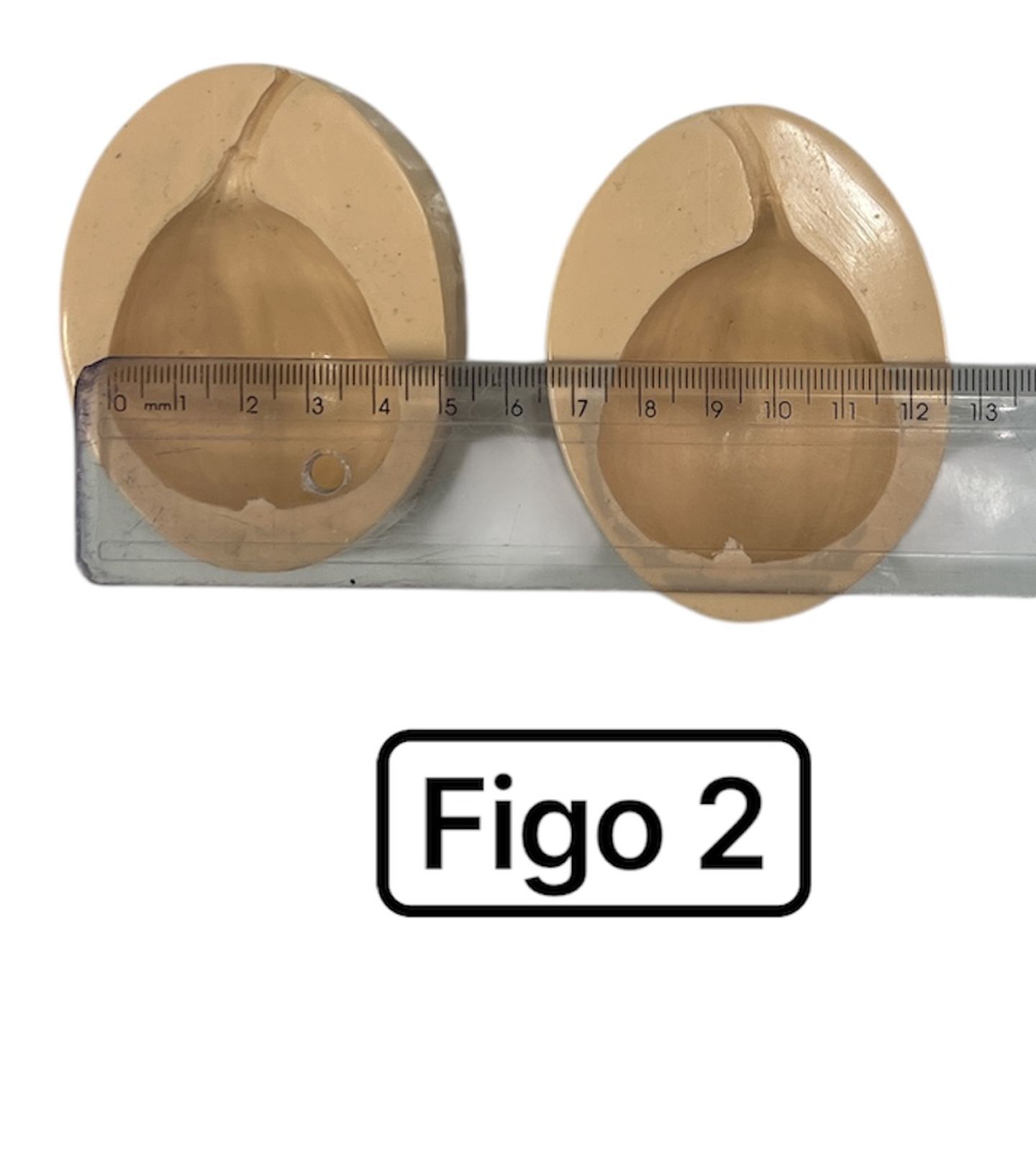 Fruta - Figo - Mod.02