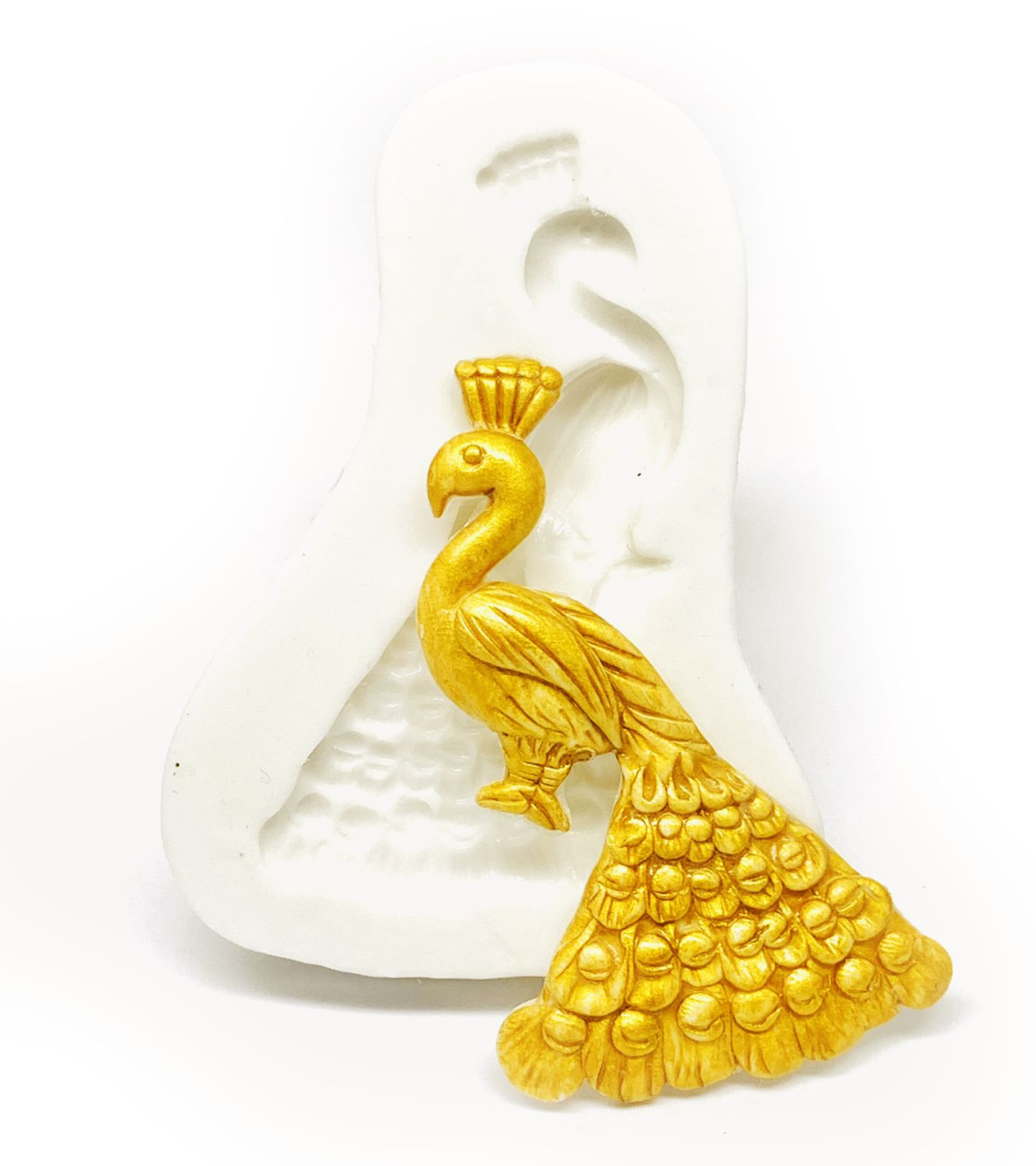 Pavao - Medio - P1172