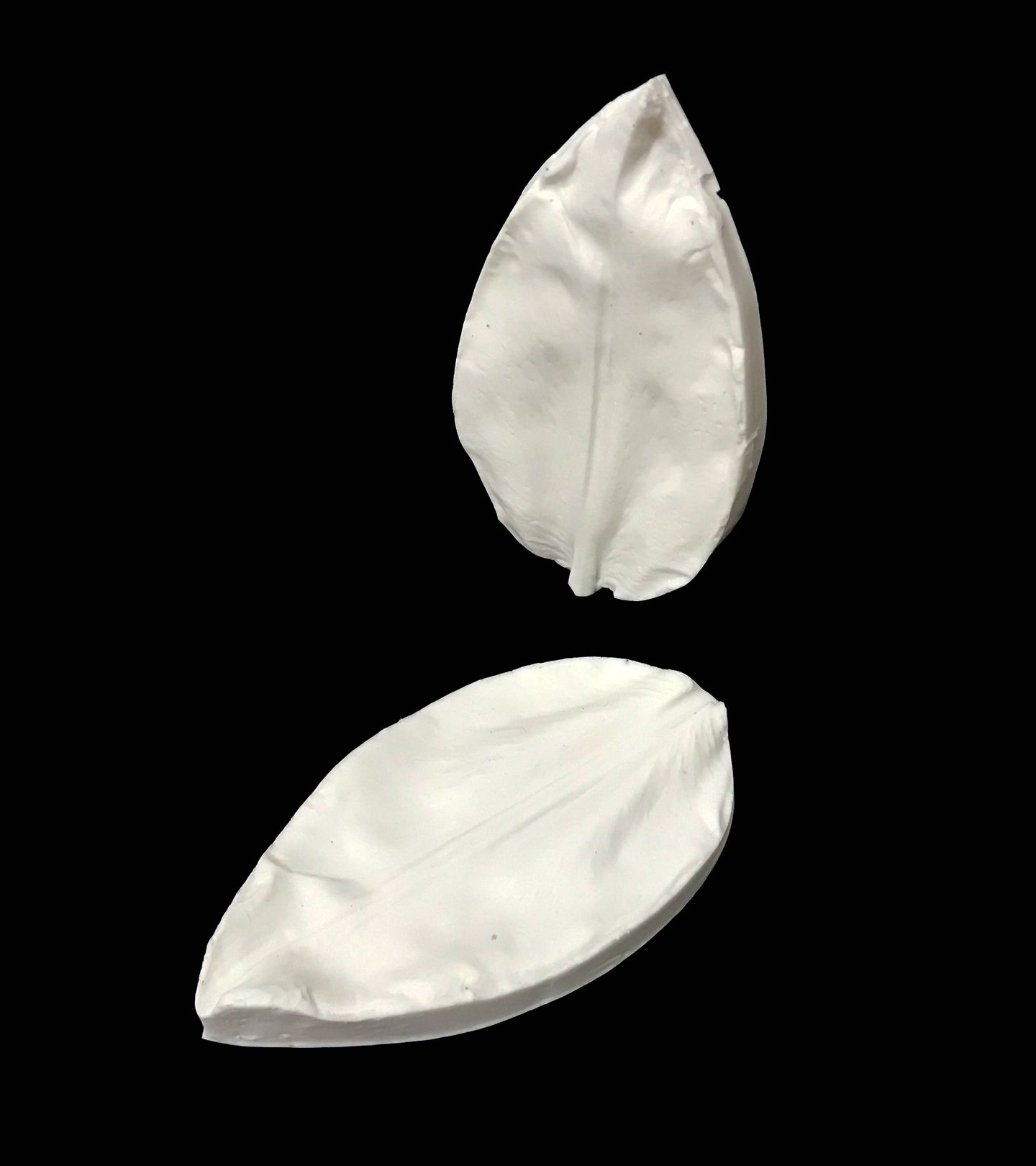 Texturizador - Petala Lirio (Casa Blanca, Etc) - PL003 / PL004