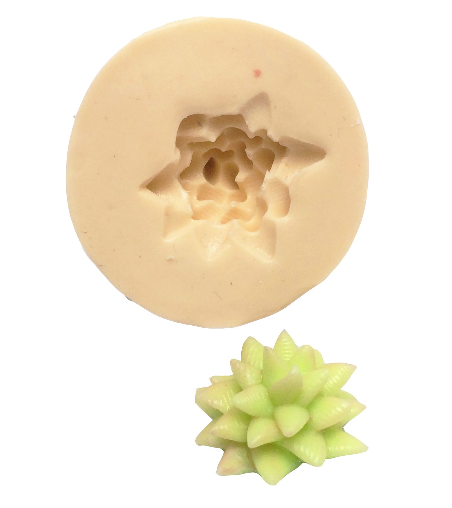 Suculenta - Pequena - Mod.03 - P356/P671