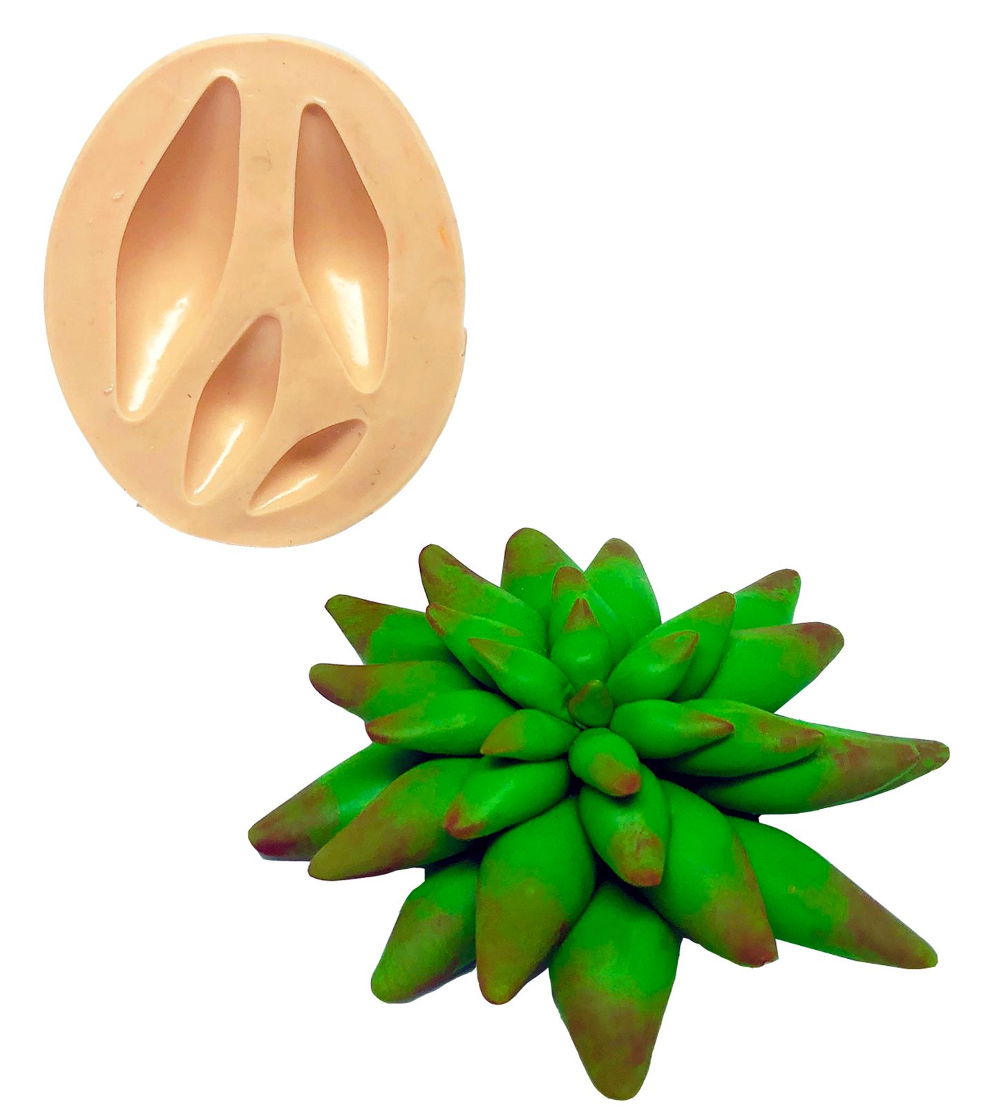 Molde de silicone - Suculenta - Mod.05 - P824