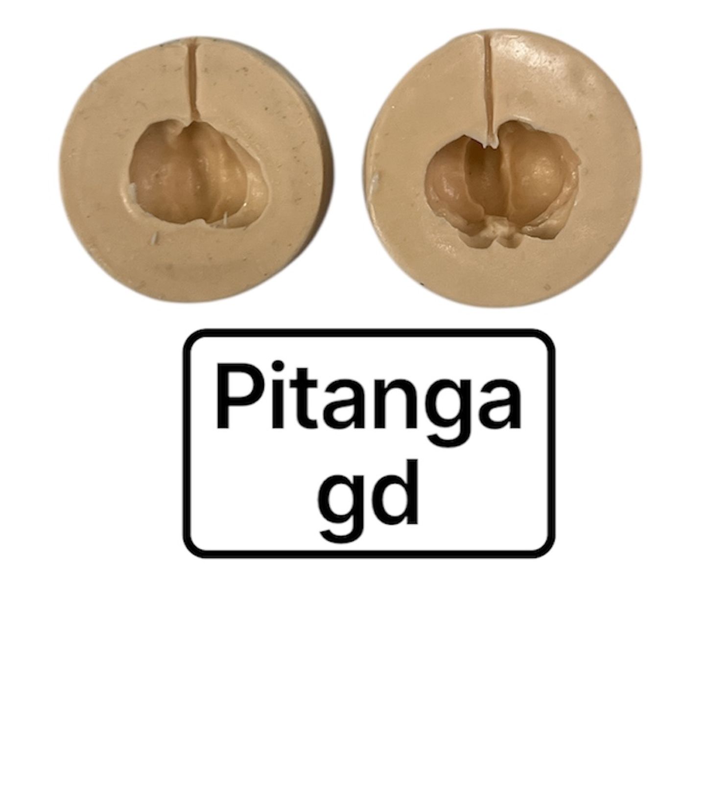 Fruta - Pitanga - Grande - PF03