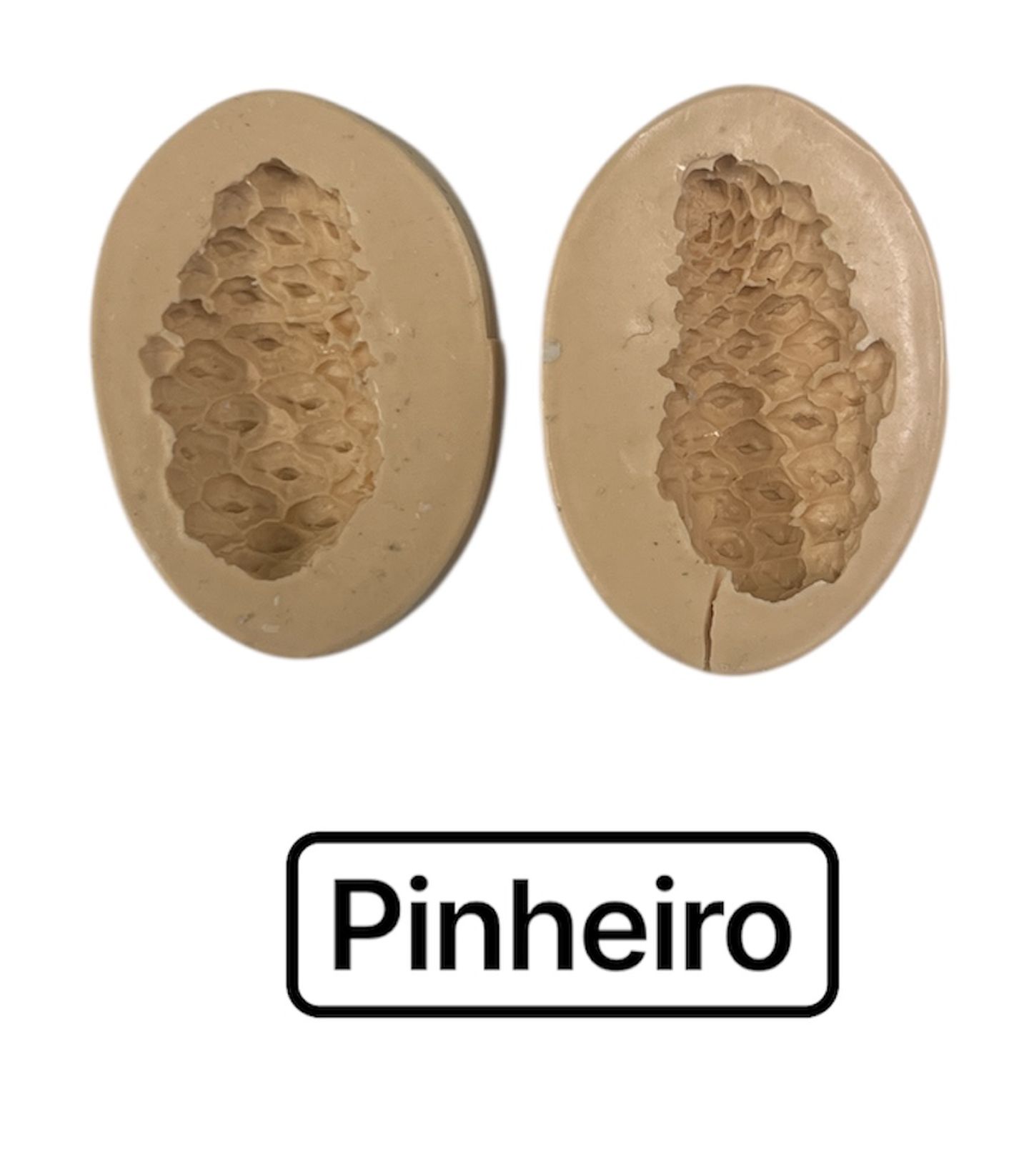 Arvore - Pinheiro - PF03
