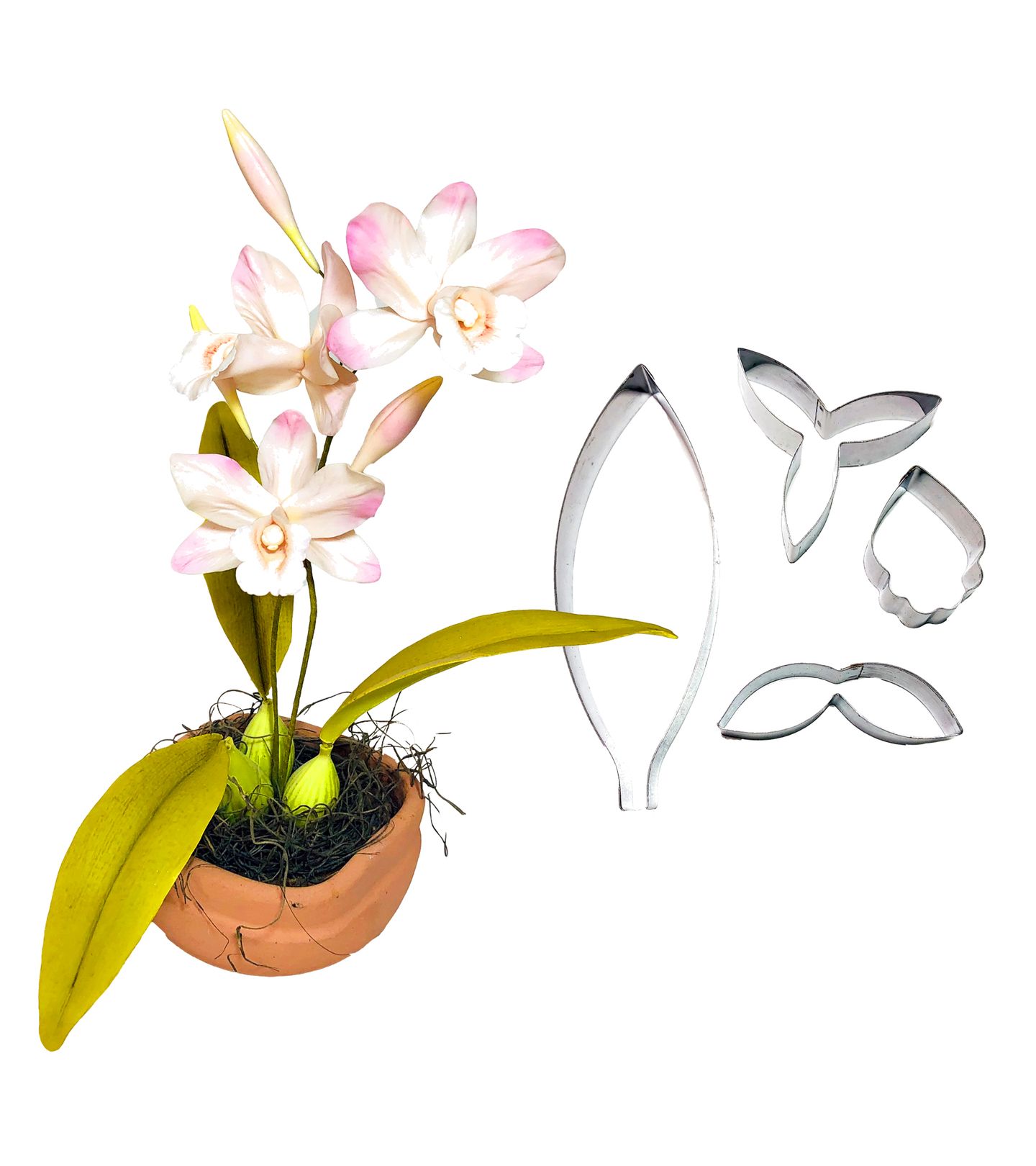 Cortador Aço - Flor - Orquidea Lelia