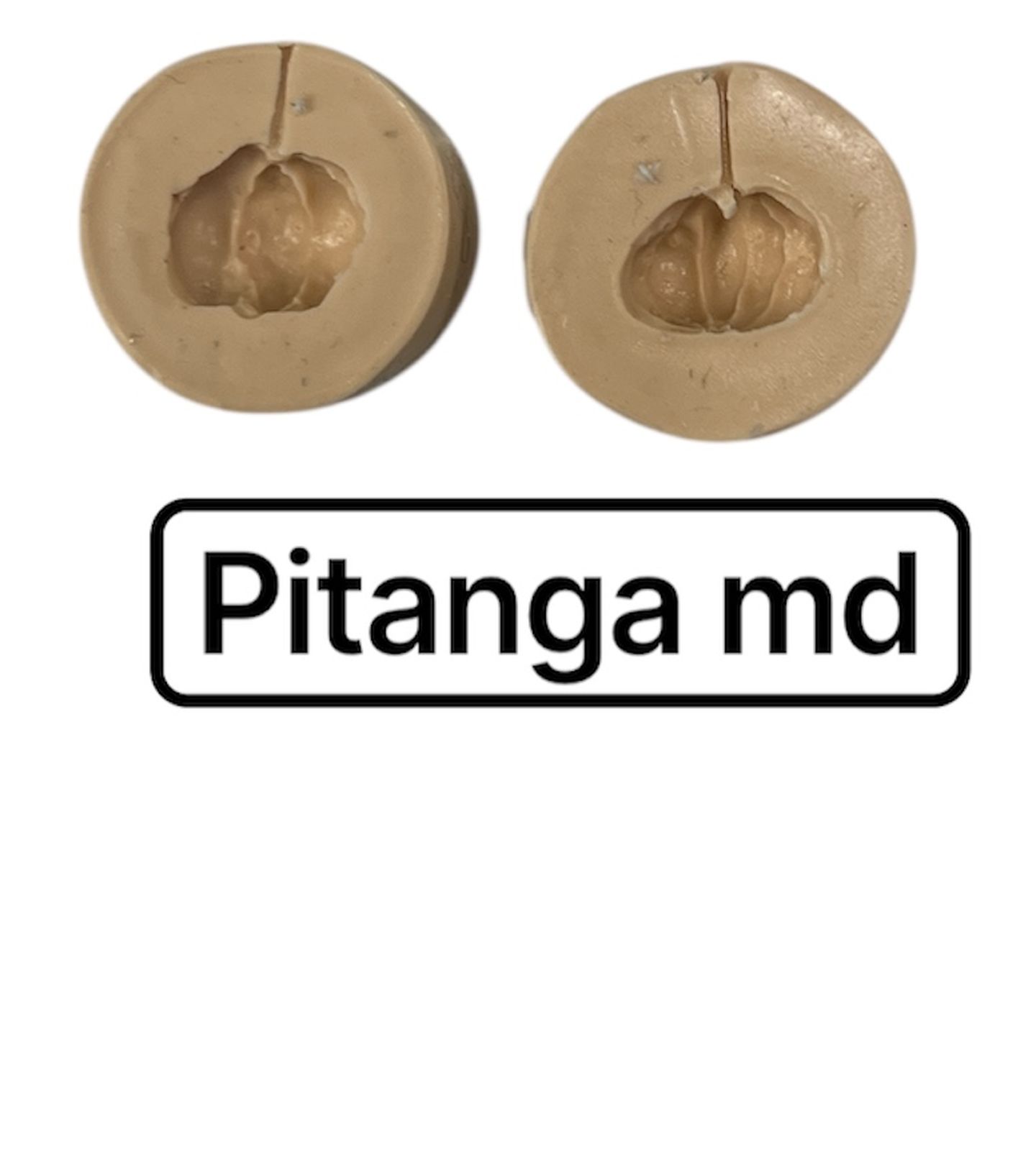 Fruta - Pitanga - Media - PF02