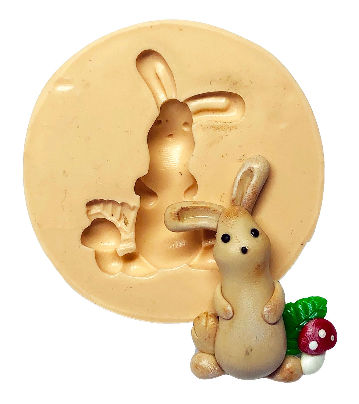 Coelho - Medio - P691