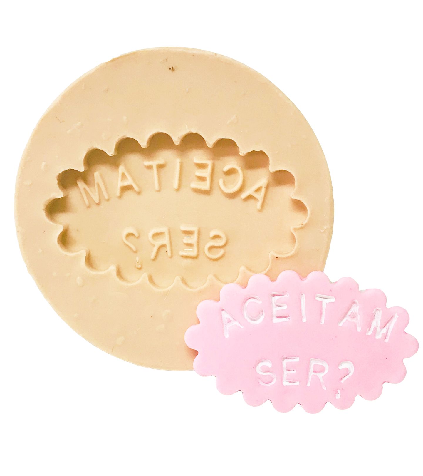 Placa Indicativa -  Aceitam ser? - P517