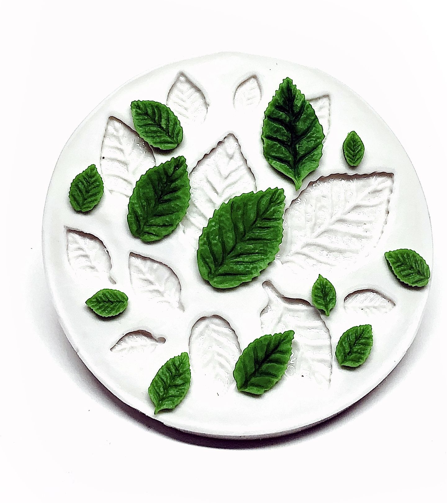 Molde de silicone - Folhas - 12 Tamanhos - P981