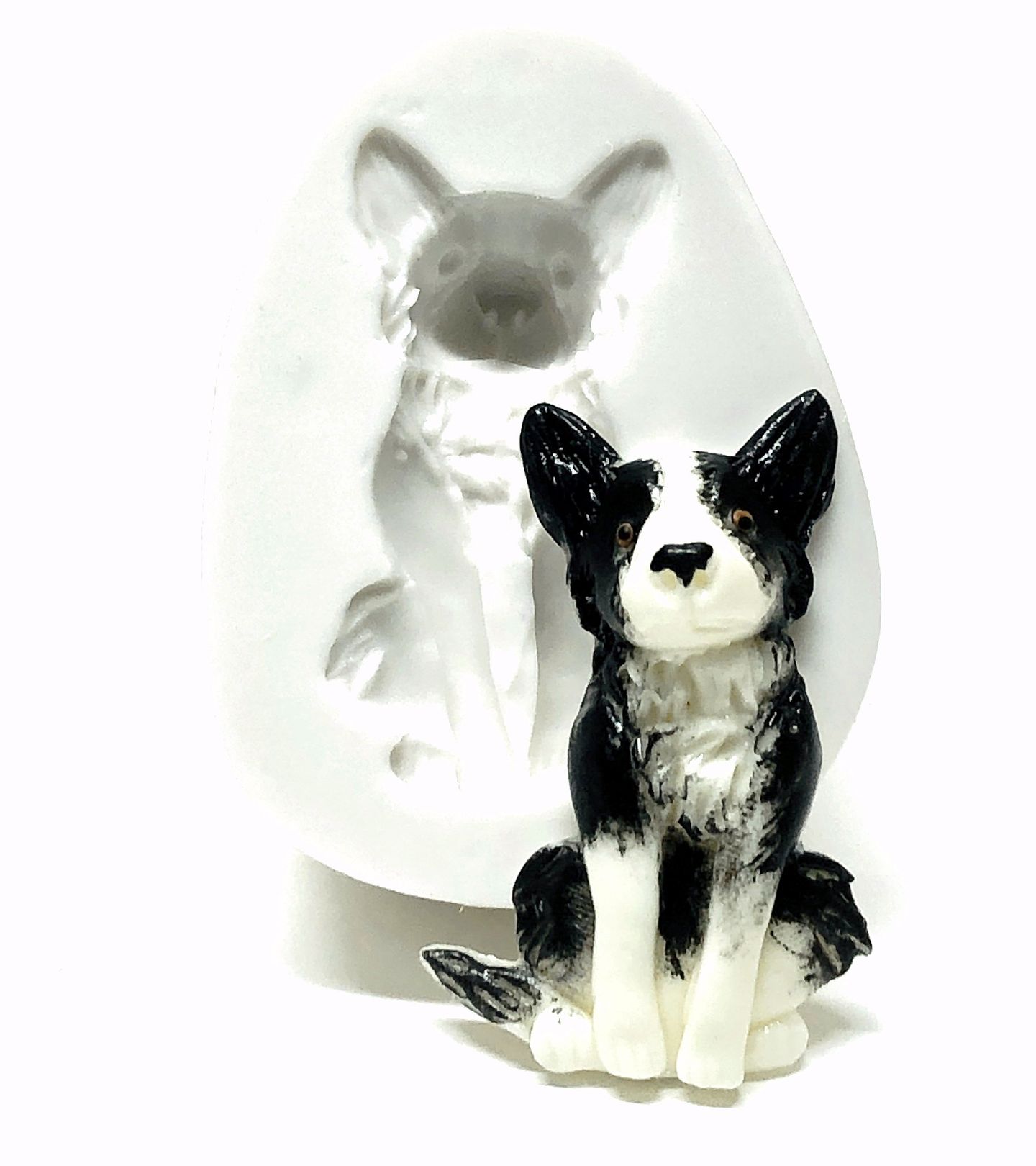 Cachorro - Border Collie - Medio - P1045