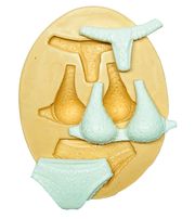 Calcinha e Sutiã Gd