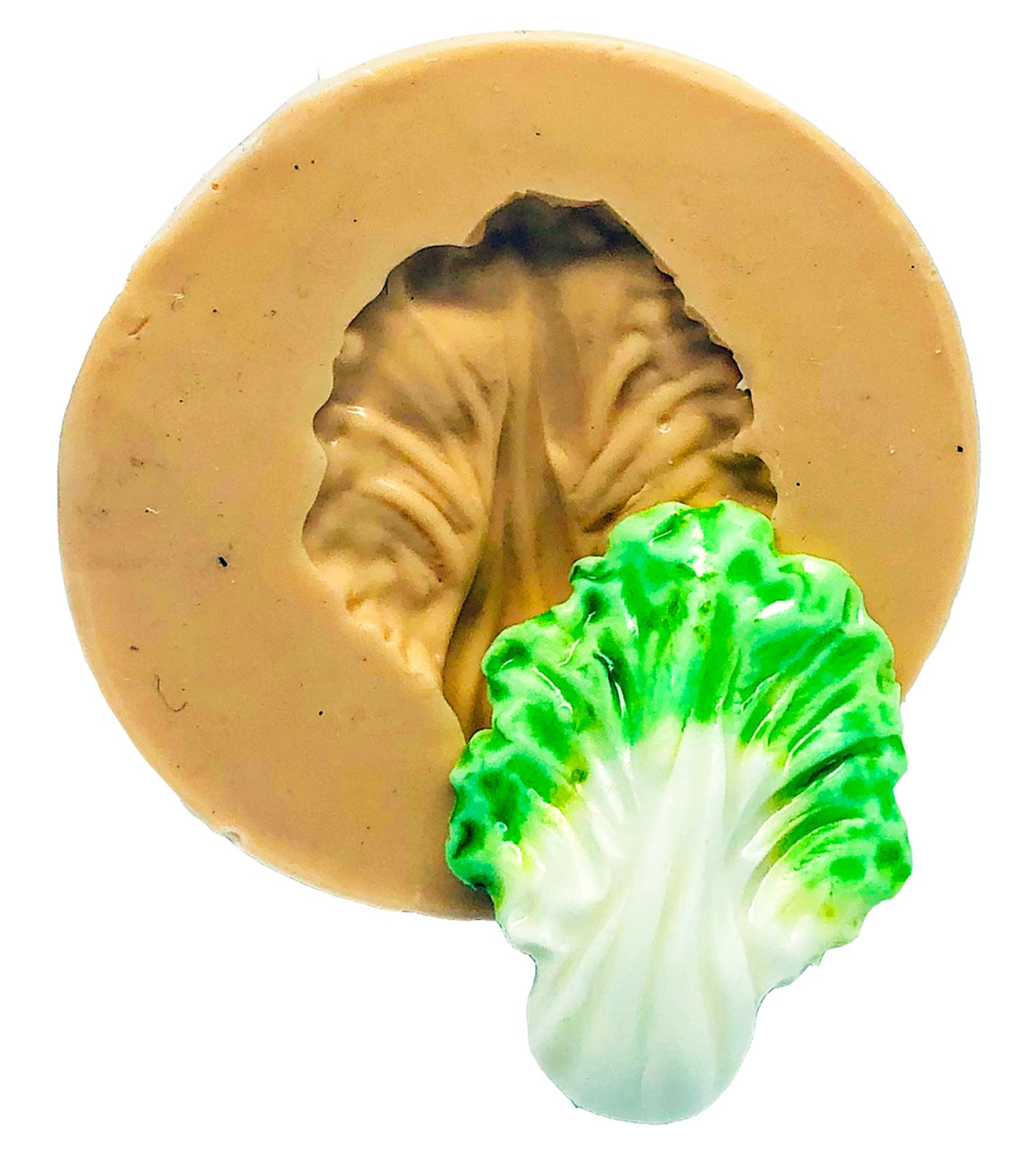 Acelga - Pequeno - P847