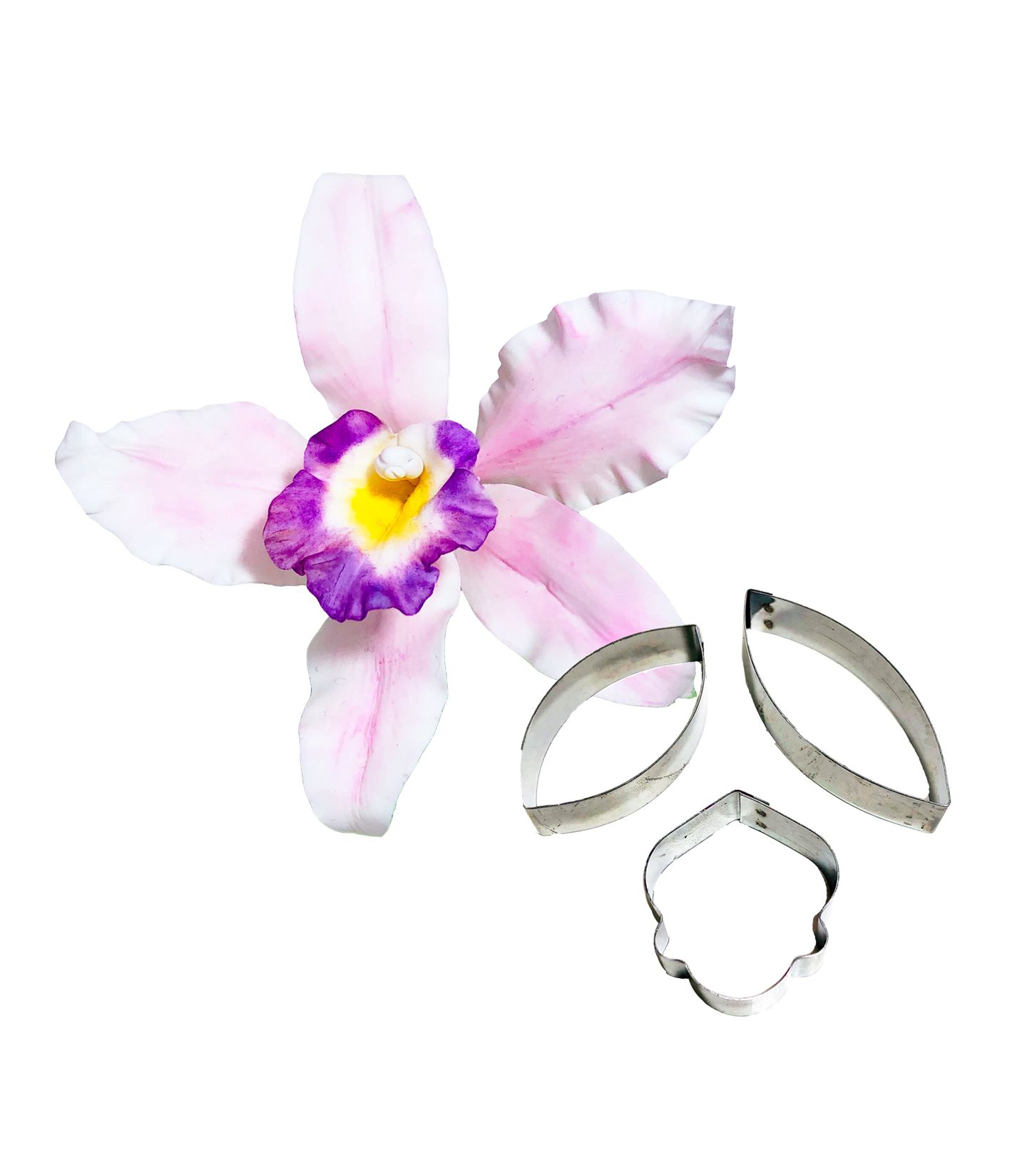 Cortador Aço - Flor - Orquidea Cymbidium