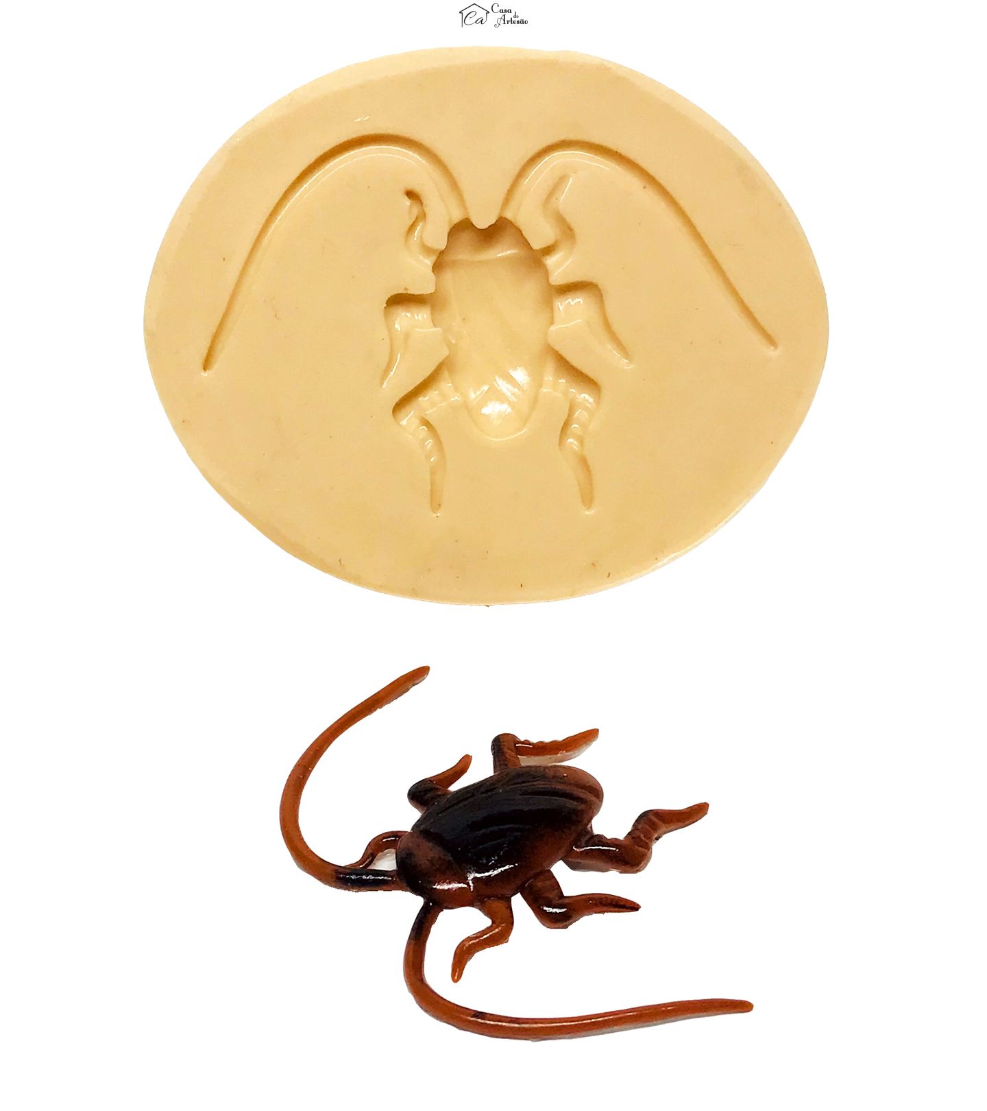 Molde de silicone - Barata - Pequeno - P616