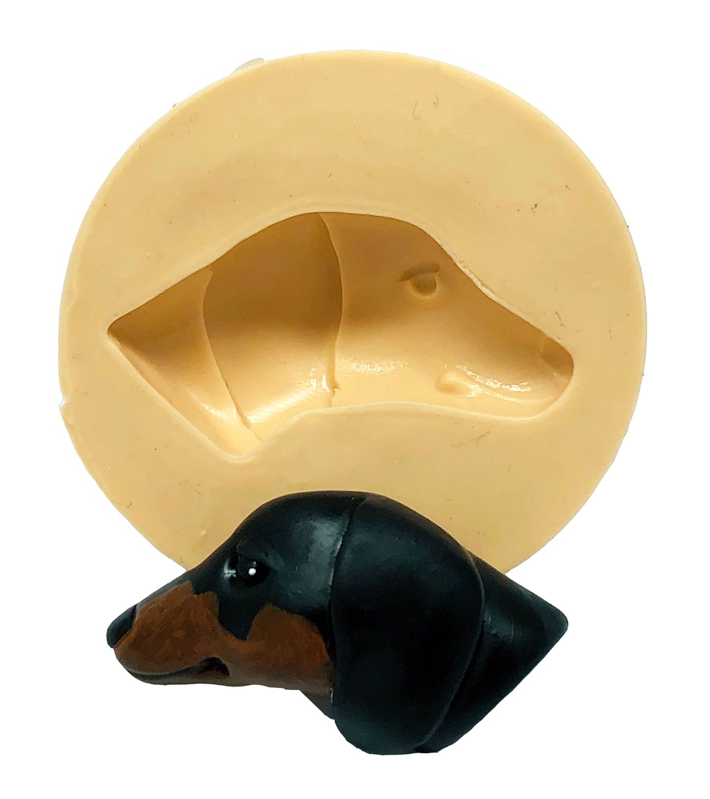 Cachorro - Rosto Dachshund - Medio - P827