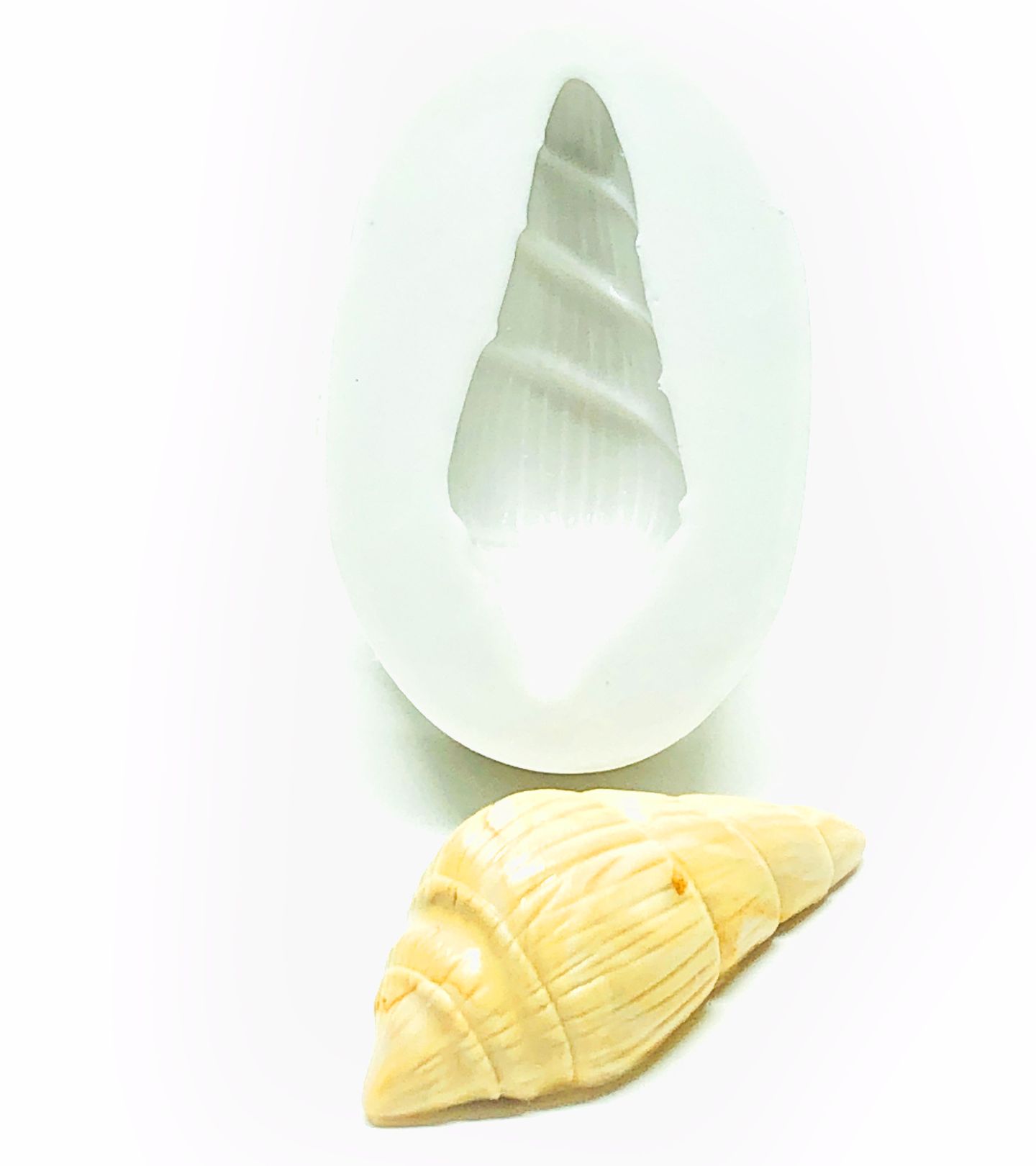 Caramujo - Grande - P357