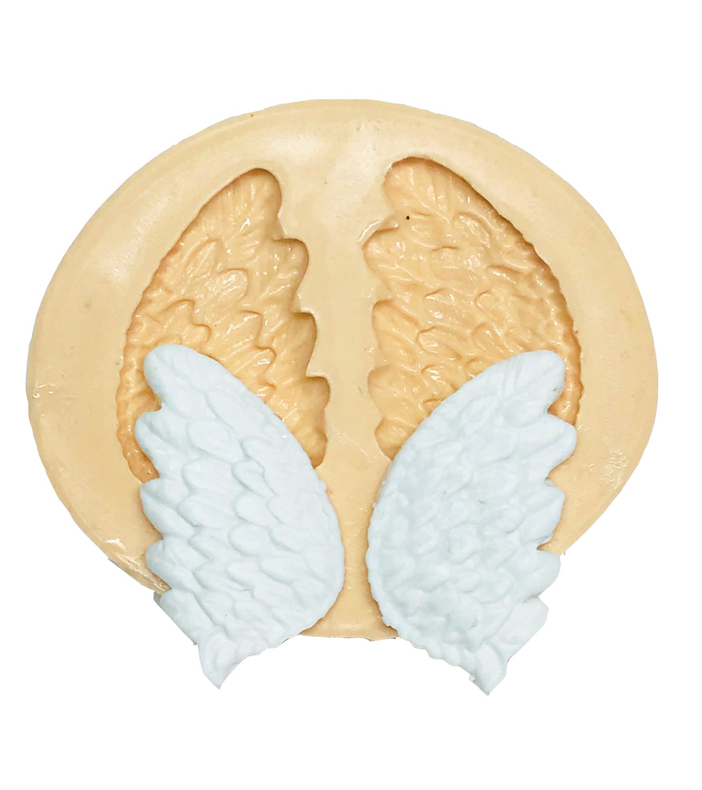 Asas - Mod.05 - Pequena - P515