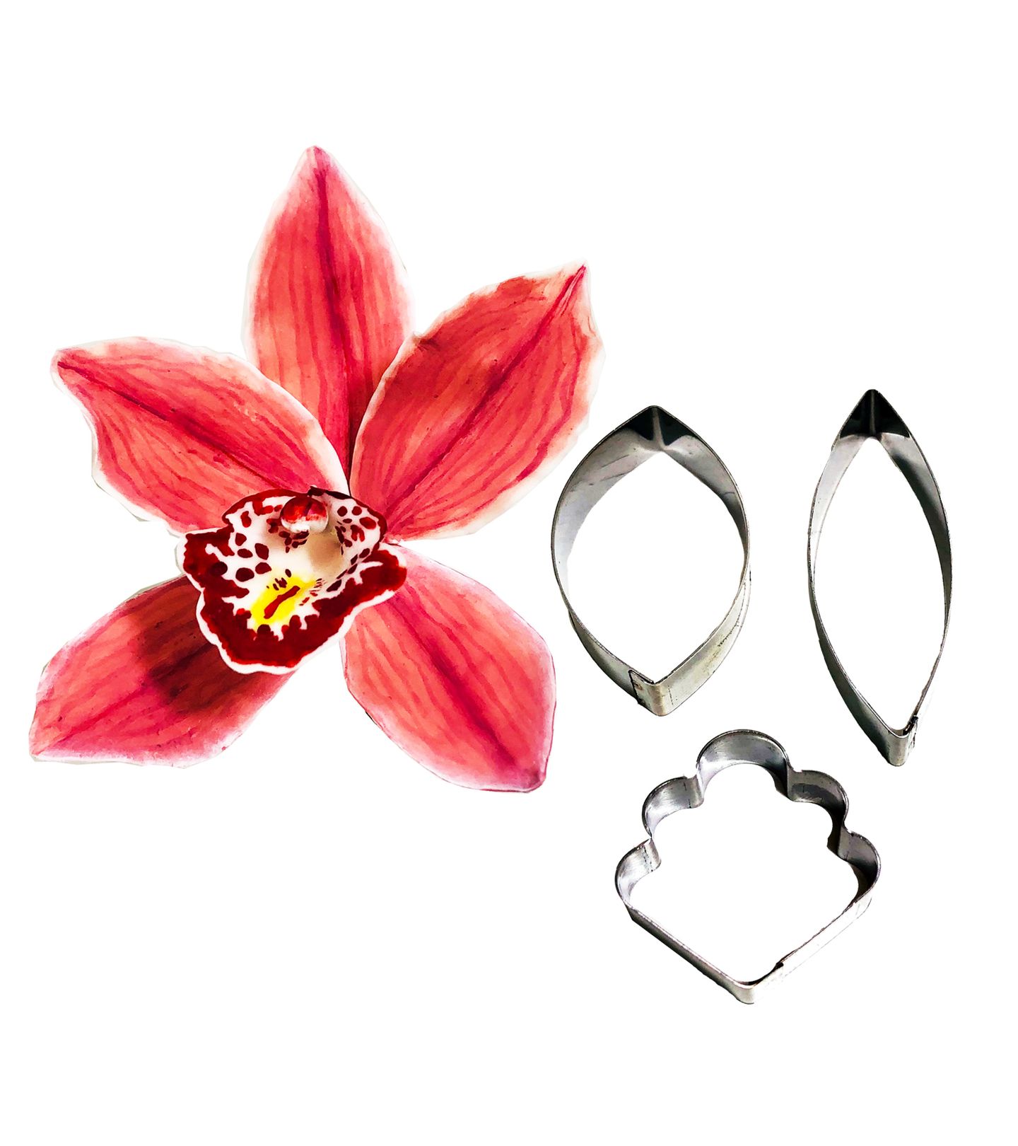 Cortador Aço - Flor - Orquidea Catleia Media - Mod.02