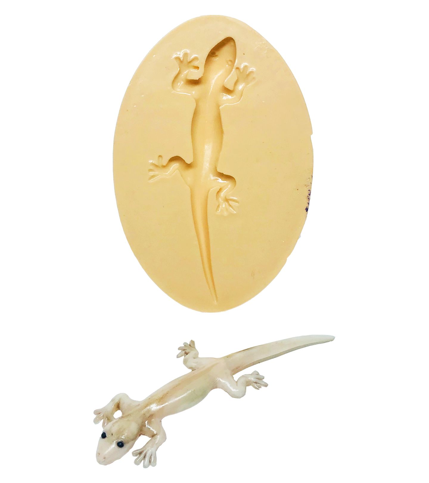 Lagartixa - Media - P615