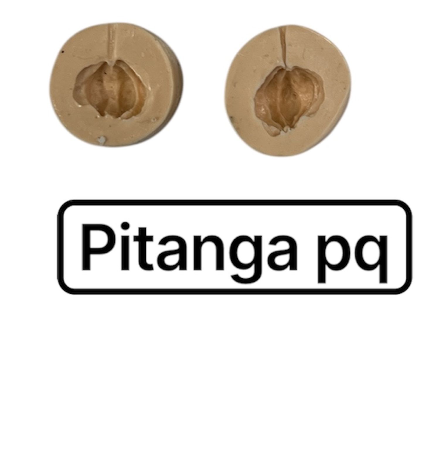 Fruta - Pitanga - Pequena - PF03