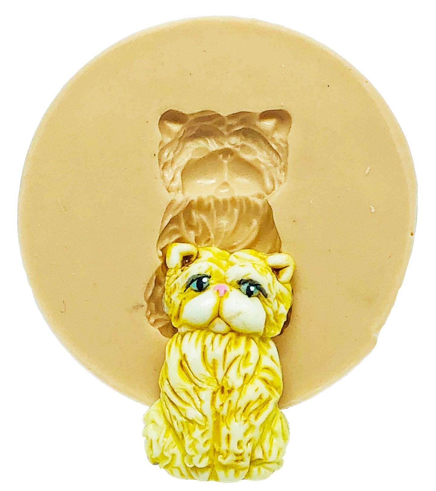 Gato - Persa - Pequeno - P839