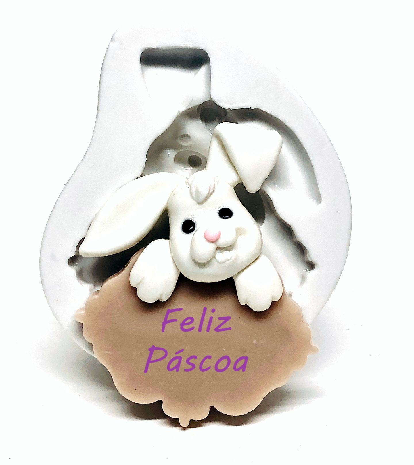 Coelho - Na Placa - Grande - P1073